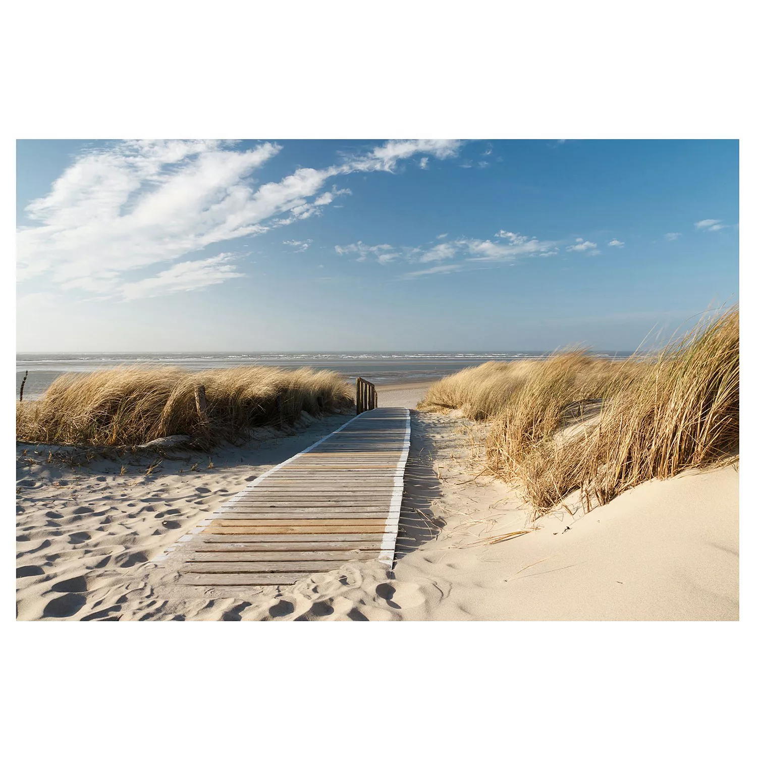 Bilderwelten Fototapete Strand Ostsee Strand creme Gr. 384 x 255 günstig online kaufen
