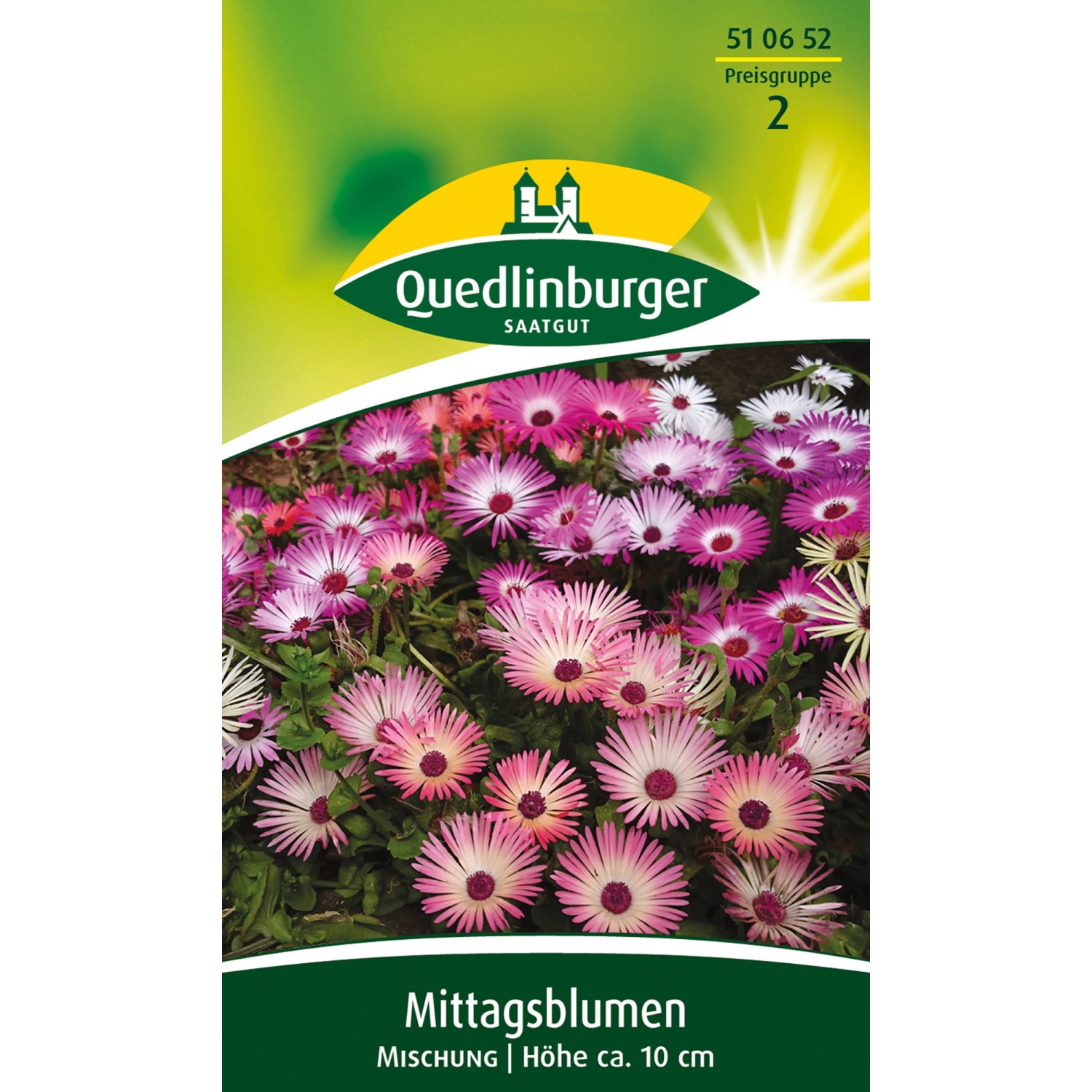 Quedlinburger Mittagsblume ''Mischung'' günstig online kaufen