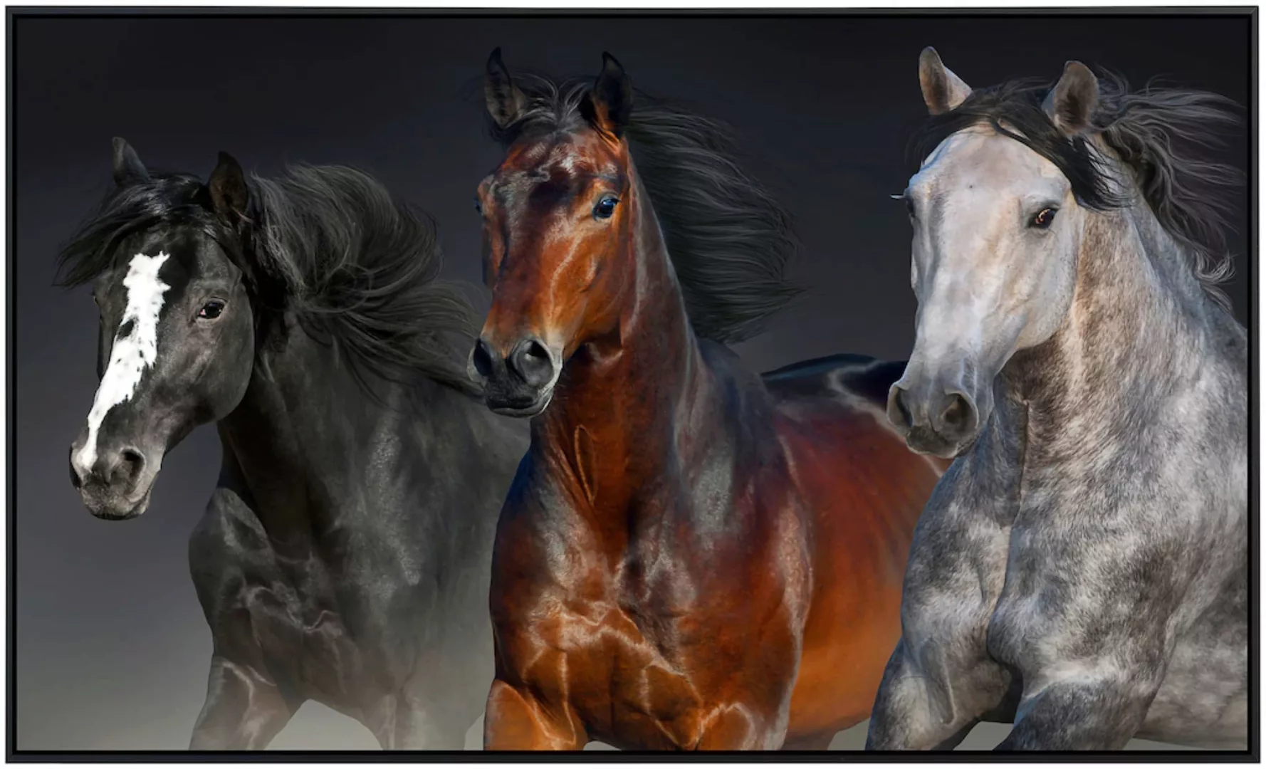 Papermoon Infrarotheizung »Pferdeporträt« günstig online kaufen