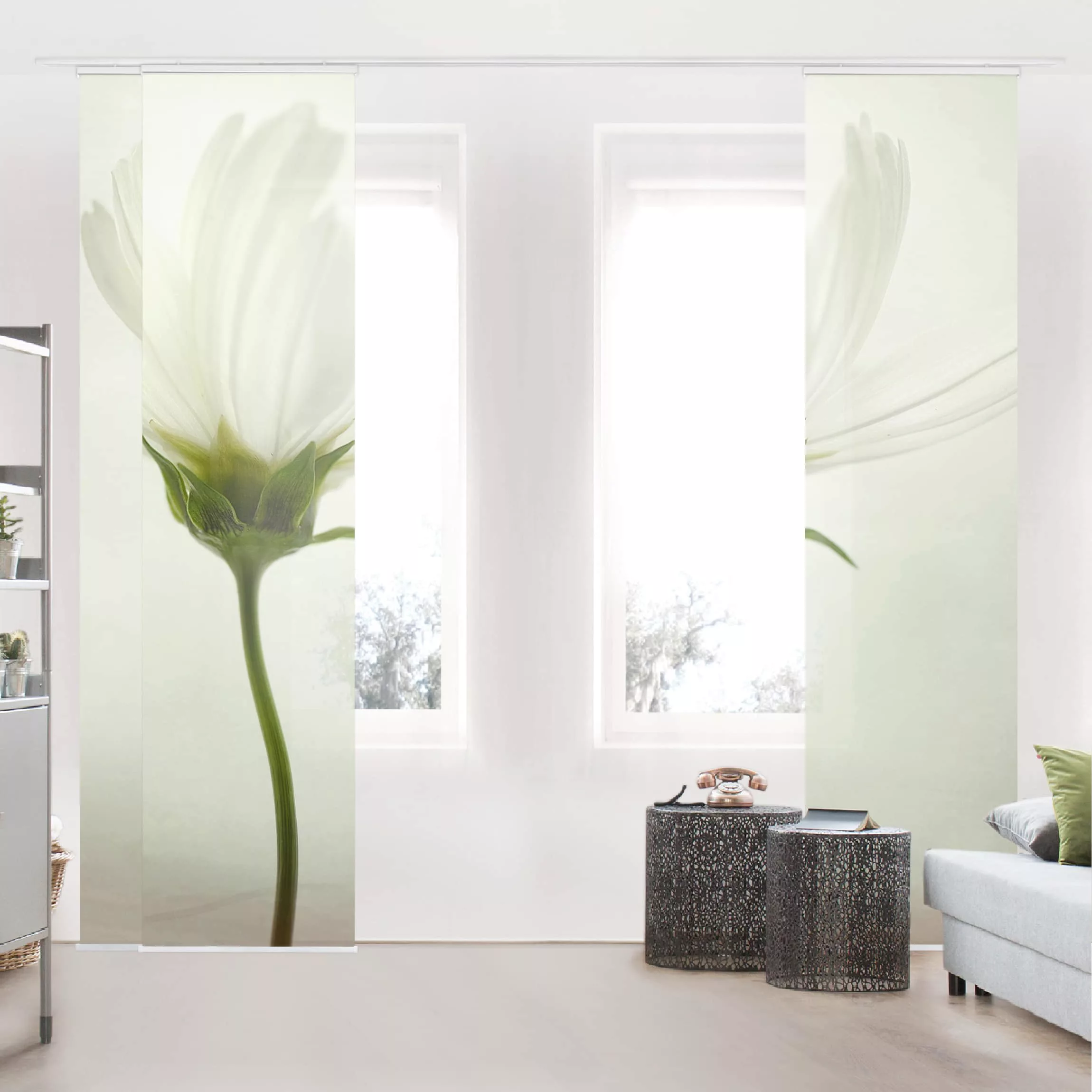 Schiebegardinen Set Blumen Weiße Cosmea günstig online kaufen