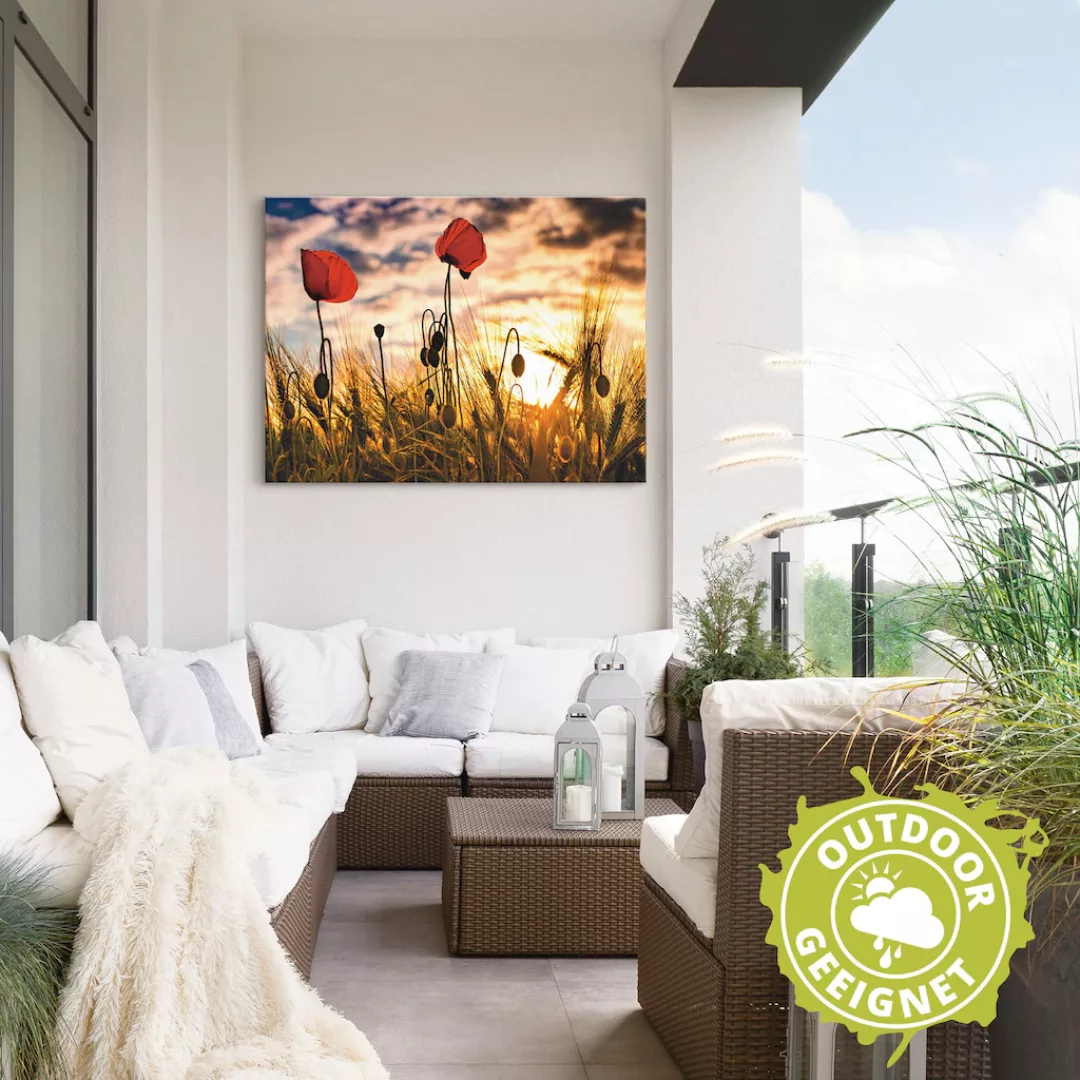 Artland Wandbild "Mohnblumen im Sonnenuntergang", Blumen, (1 St.), als Alub günstig online kaufen