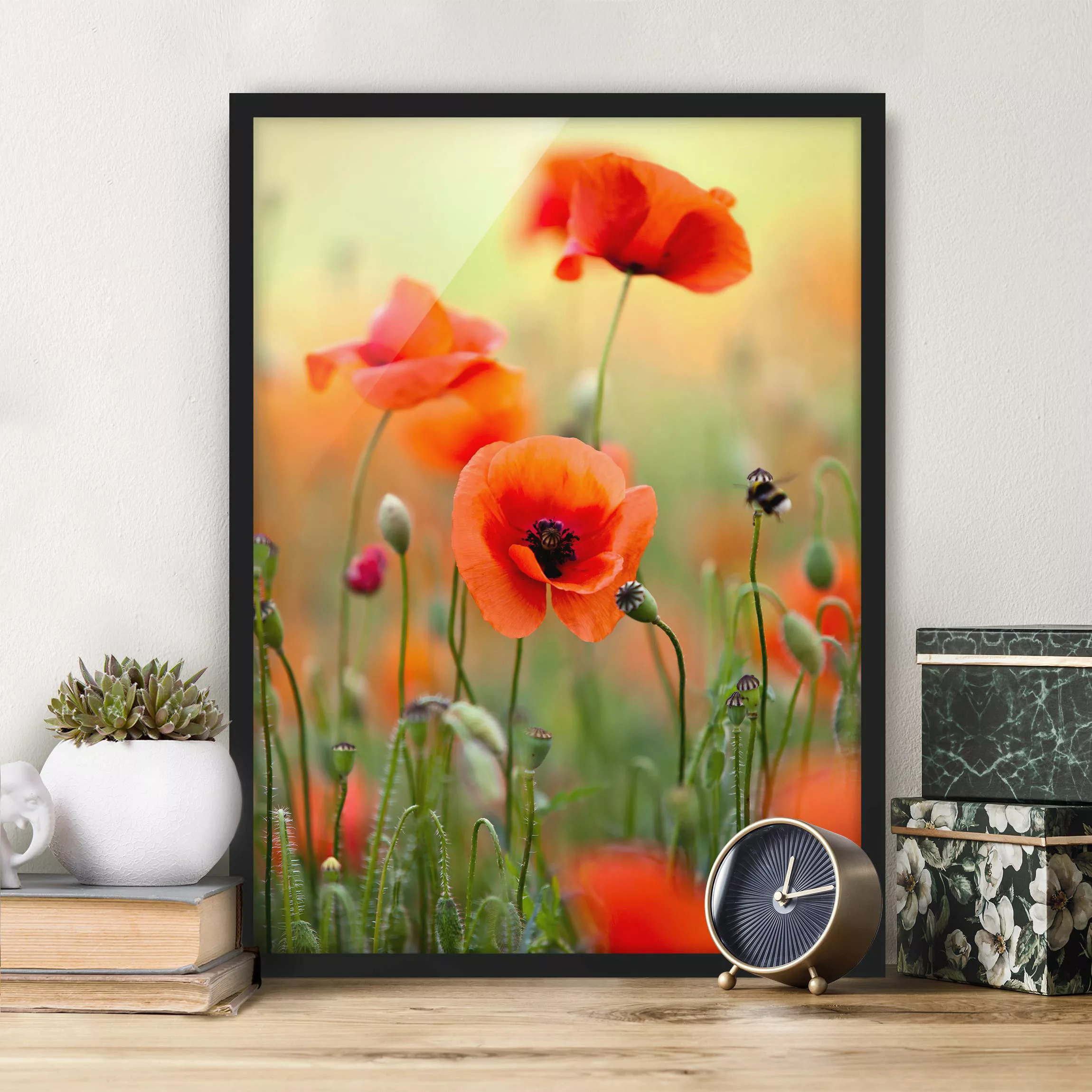 Bild mit Rahmen Blumen - Hochformat Roter Sommermohn günstig online kaufen