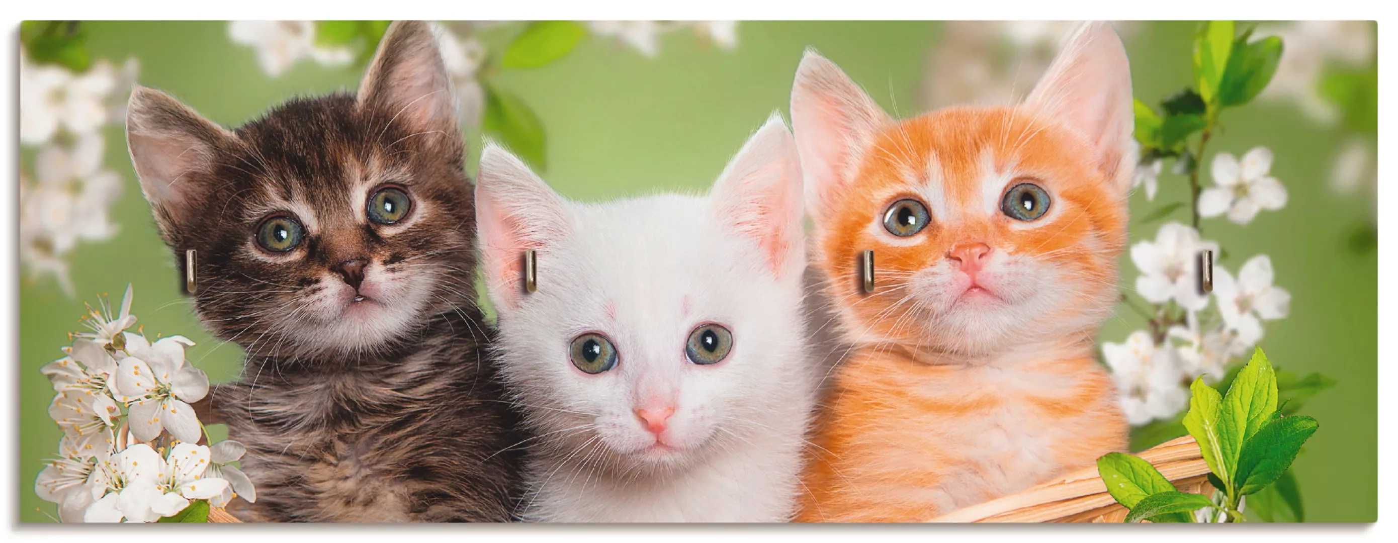 Artland Hakenleiste »Katzen sitzen in einem Korb«, MDF günstig online kaufen