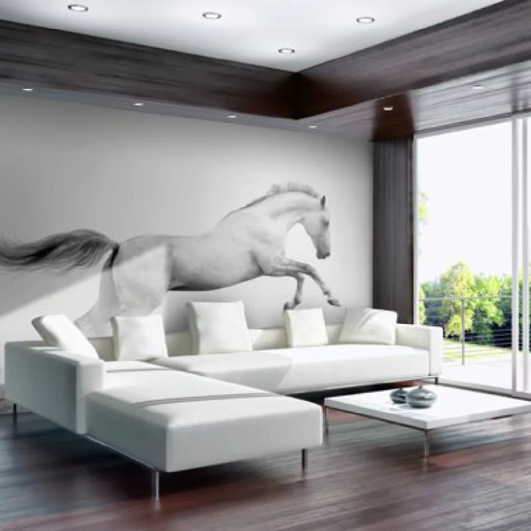 artgeist Fototapete White gallop schwarz/weiß Gr. 200 x 154 günstig online kaufen