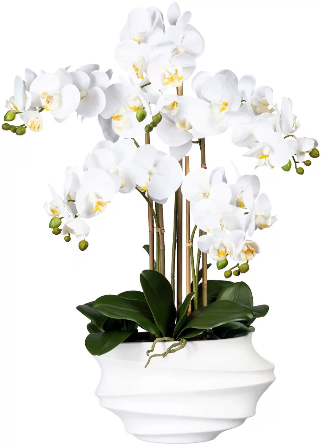 Creativ green Kunstorchidee "Phalaenopsis", in Design-Kunststoffvase günstig online kaufen