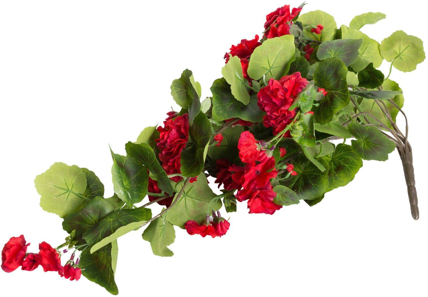 Kunstblume Geranienhängebusch Geranie, Botanic-Haus, Höhe 60 günstig online kaufen