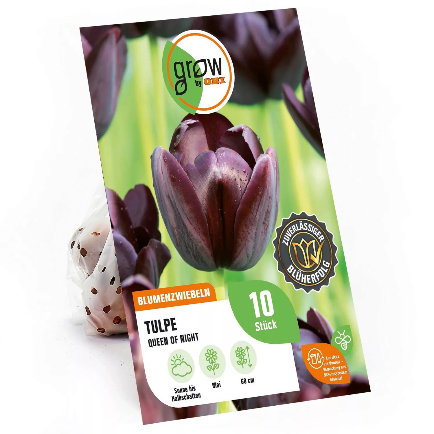 GROW by OBI Tulpe Queen of Night Purpur 60 cm Tulipa günstig online kaufen