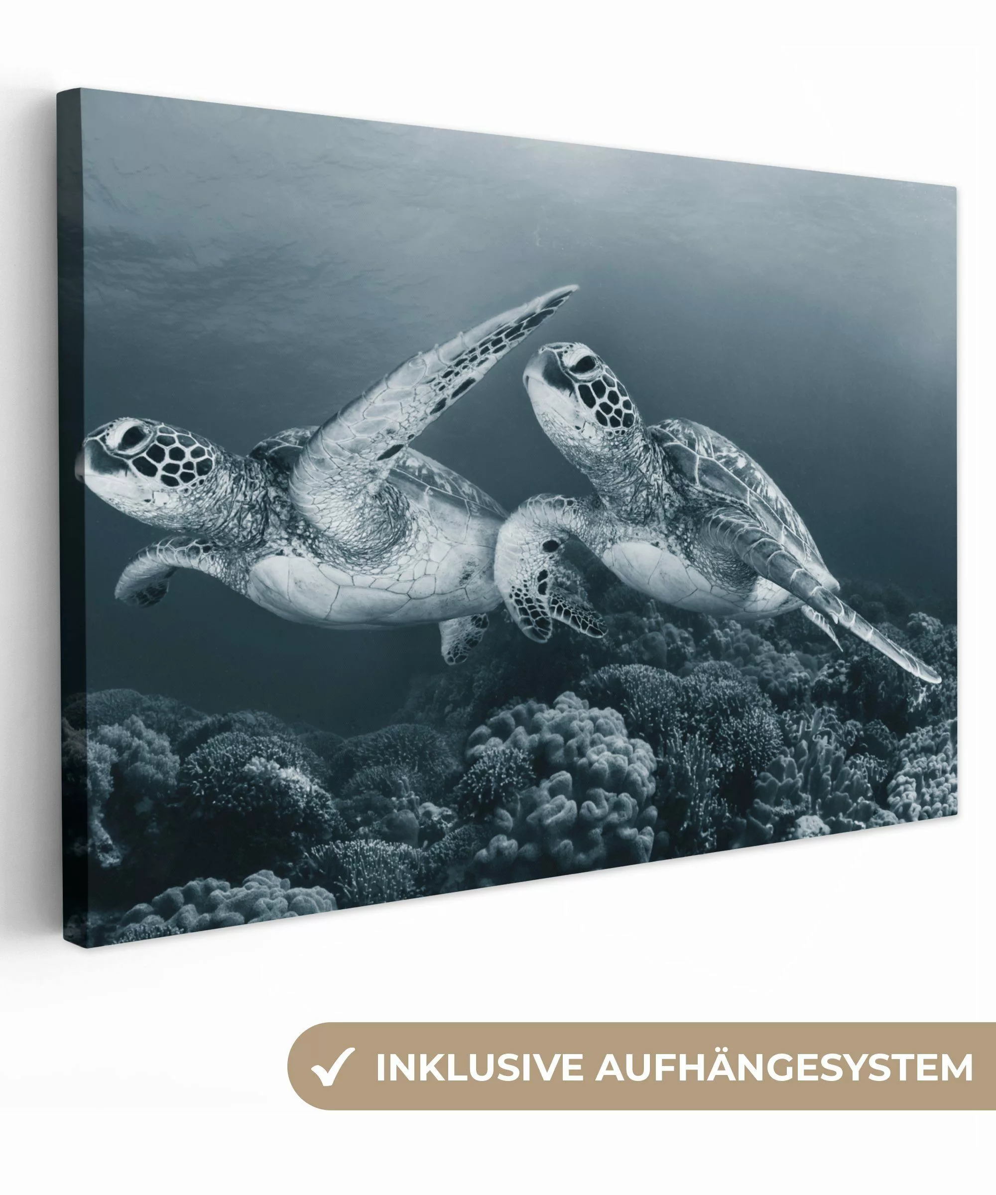 OneMillionCanvasses® Leinwandbild Schildkröte - Meerestiere - günstig online kaufen