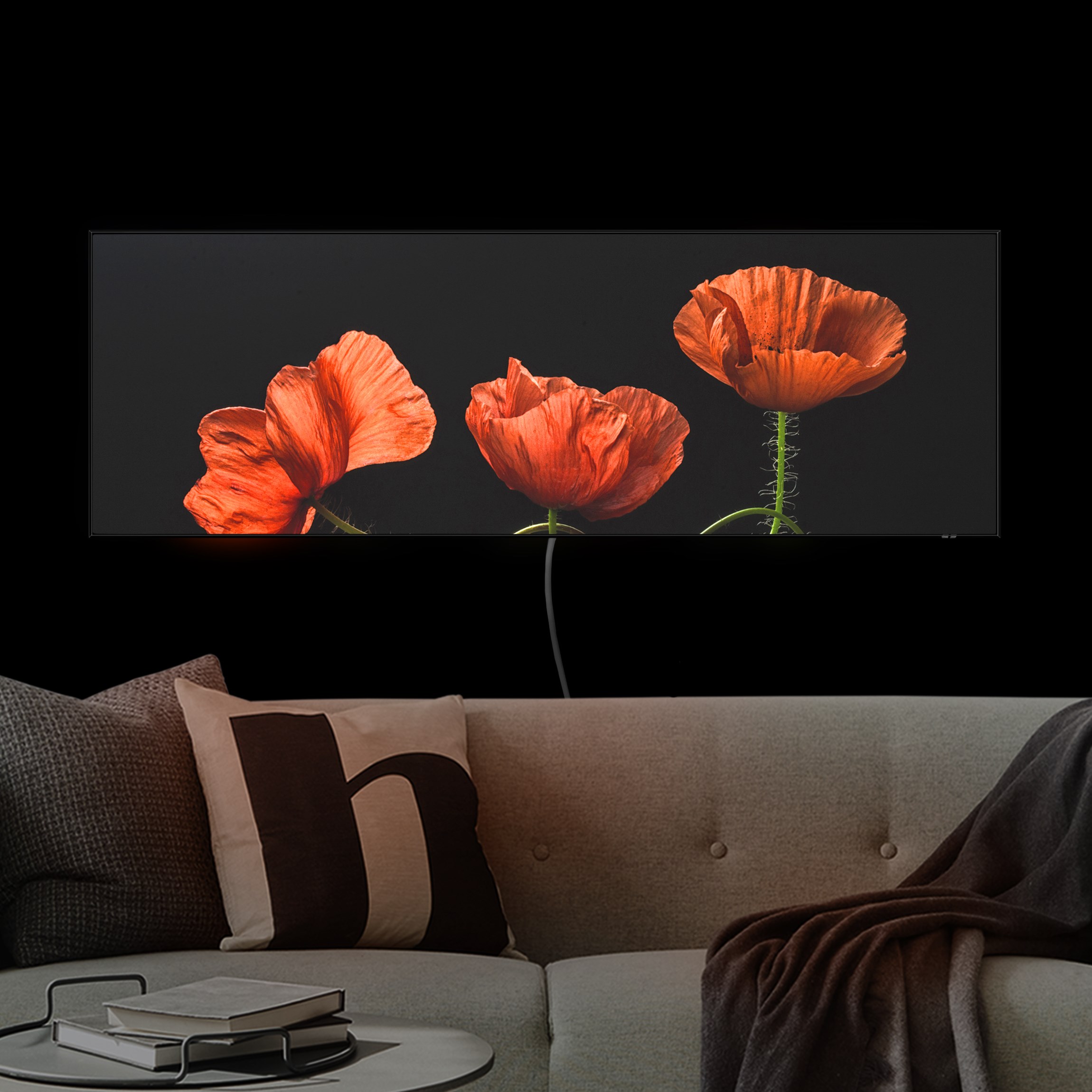 LED-Wechselbild Mohnblumen um Mitternacht günstig online kaufen