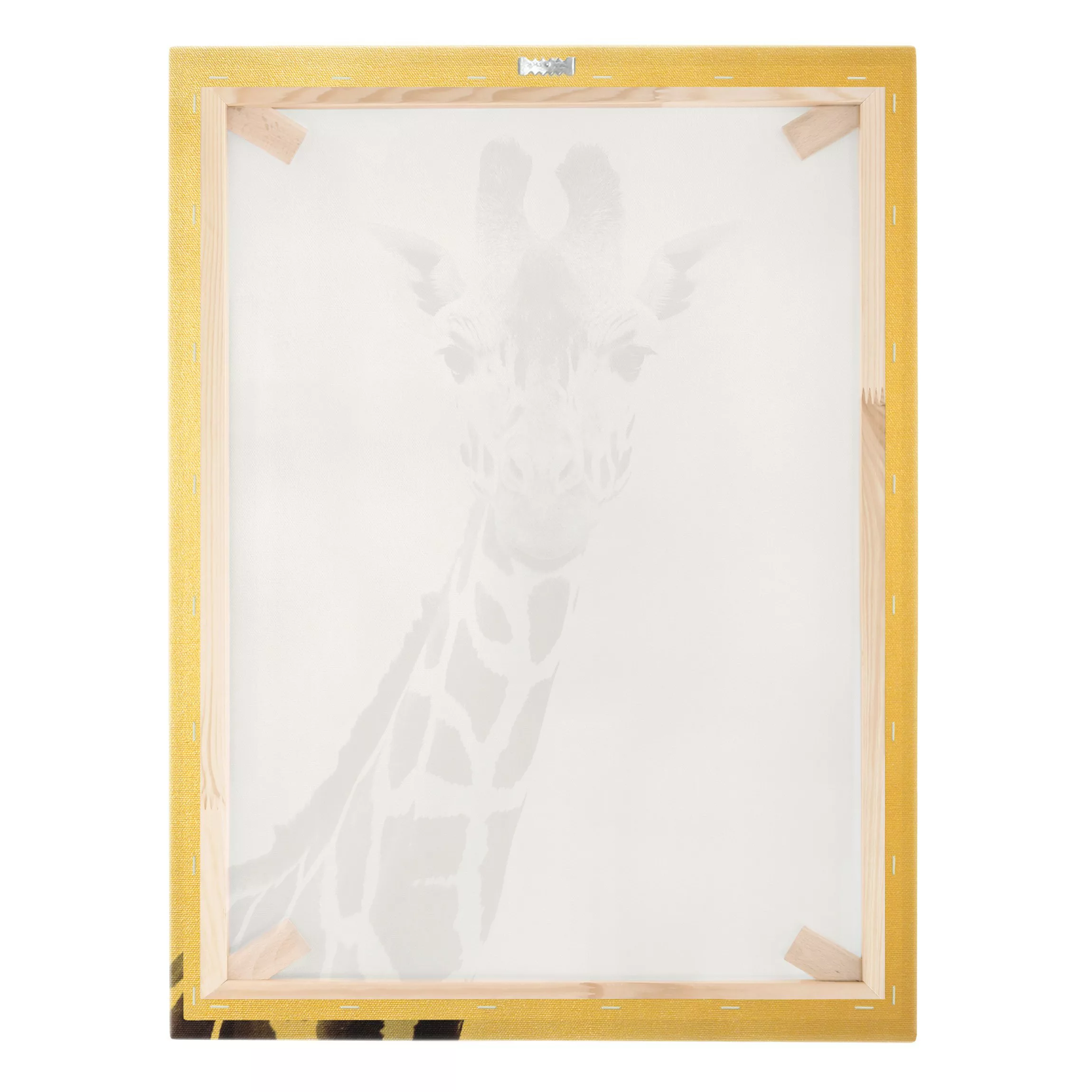 Leinwandbild Giraffen Portrait in Schwarz-weiß günstig online kaufen