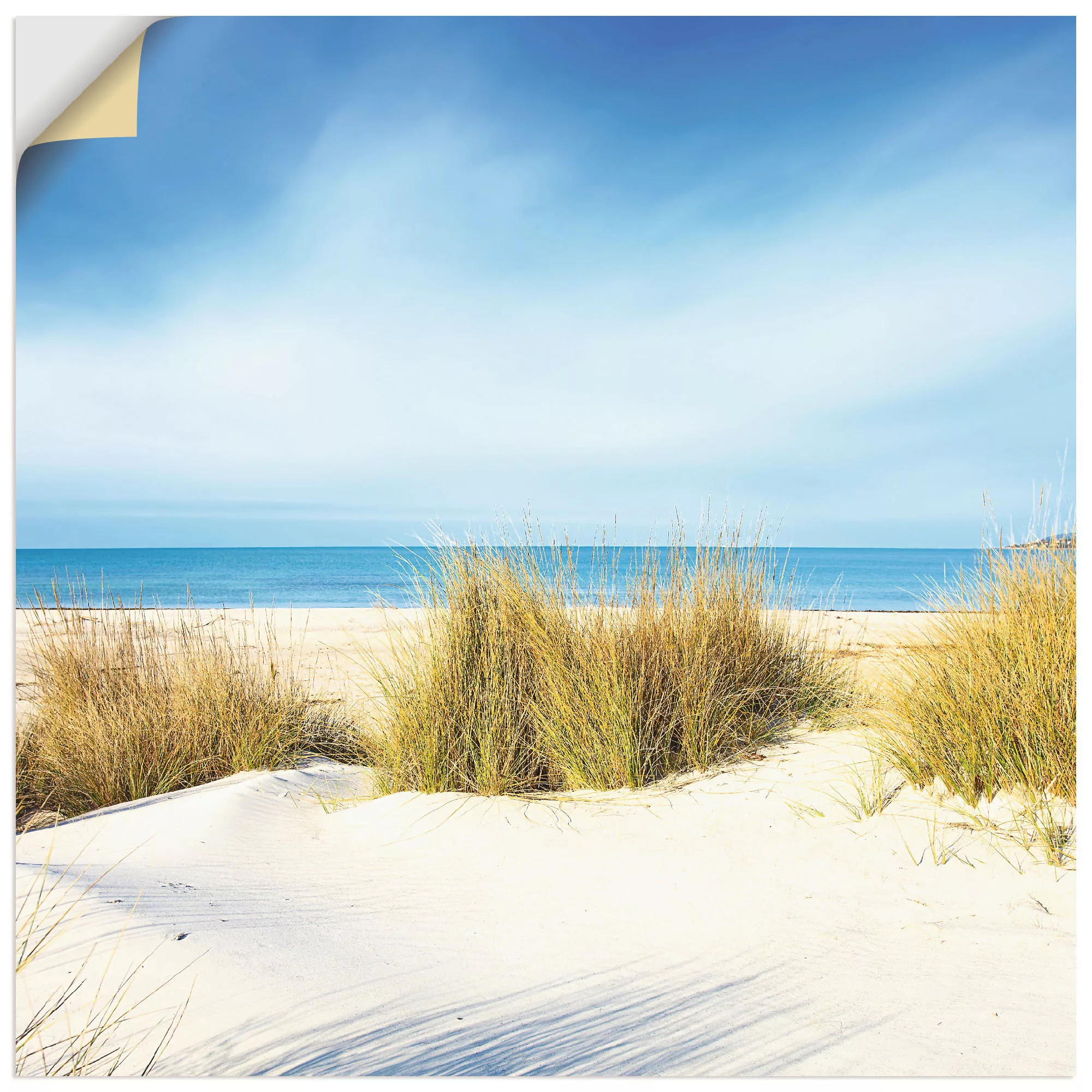 Artland Wandbild "Gras auf Sanddünen", Strand, (1 St.), als Leinwandbild, P günstig online kaufen