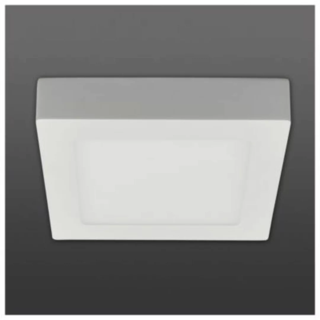 Näve Leuchten "LED Deckenleuchte ""Simplex"" s:17cm" weiß günstig online kaufen