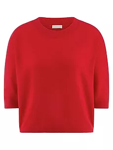Rundhals-Pullover include rot günstig online kaufen