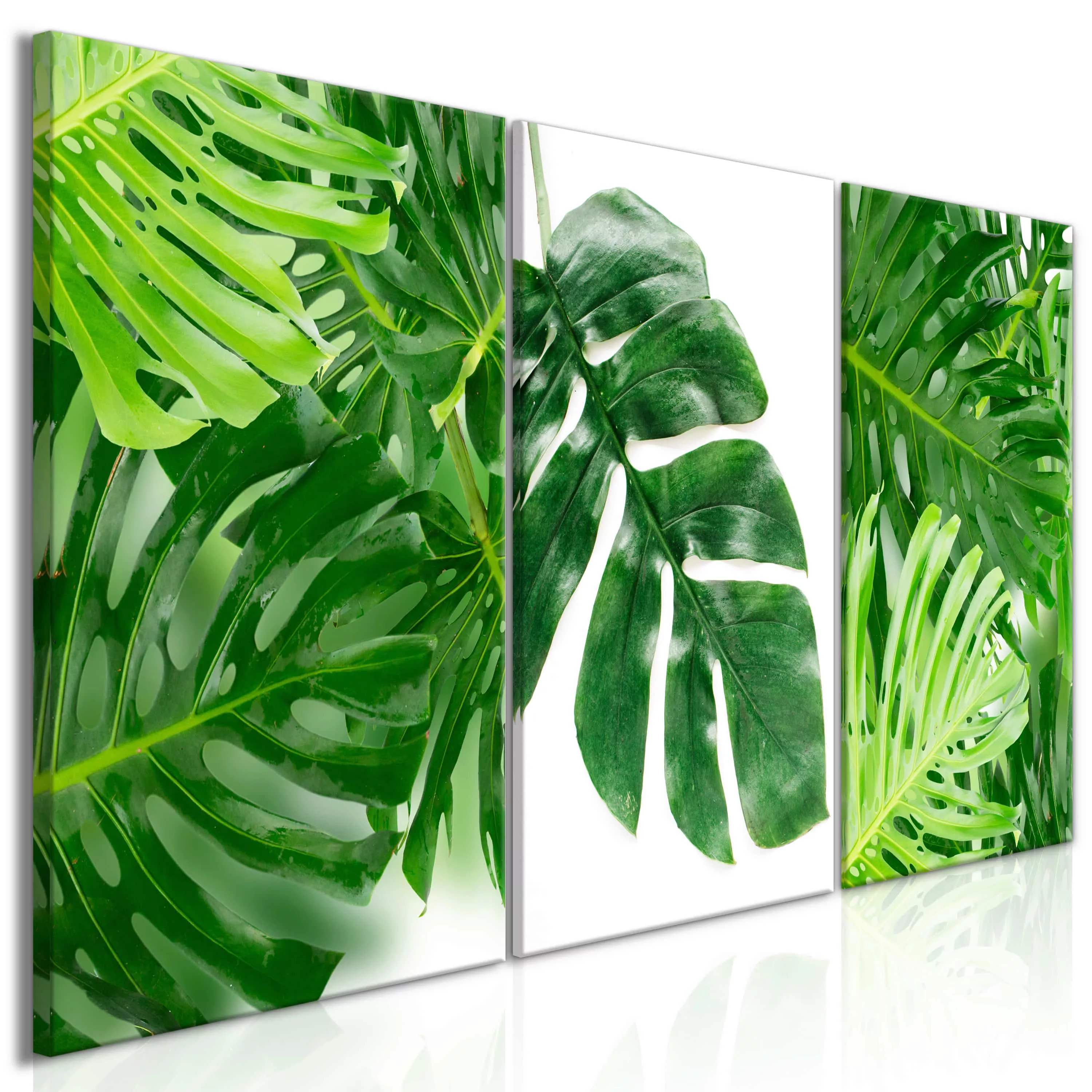Wandbild - Palm Leaves (3 Parts) günstig online kaufen