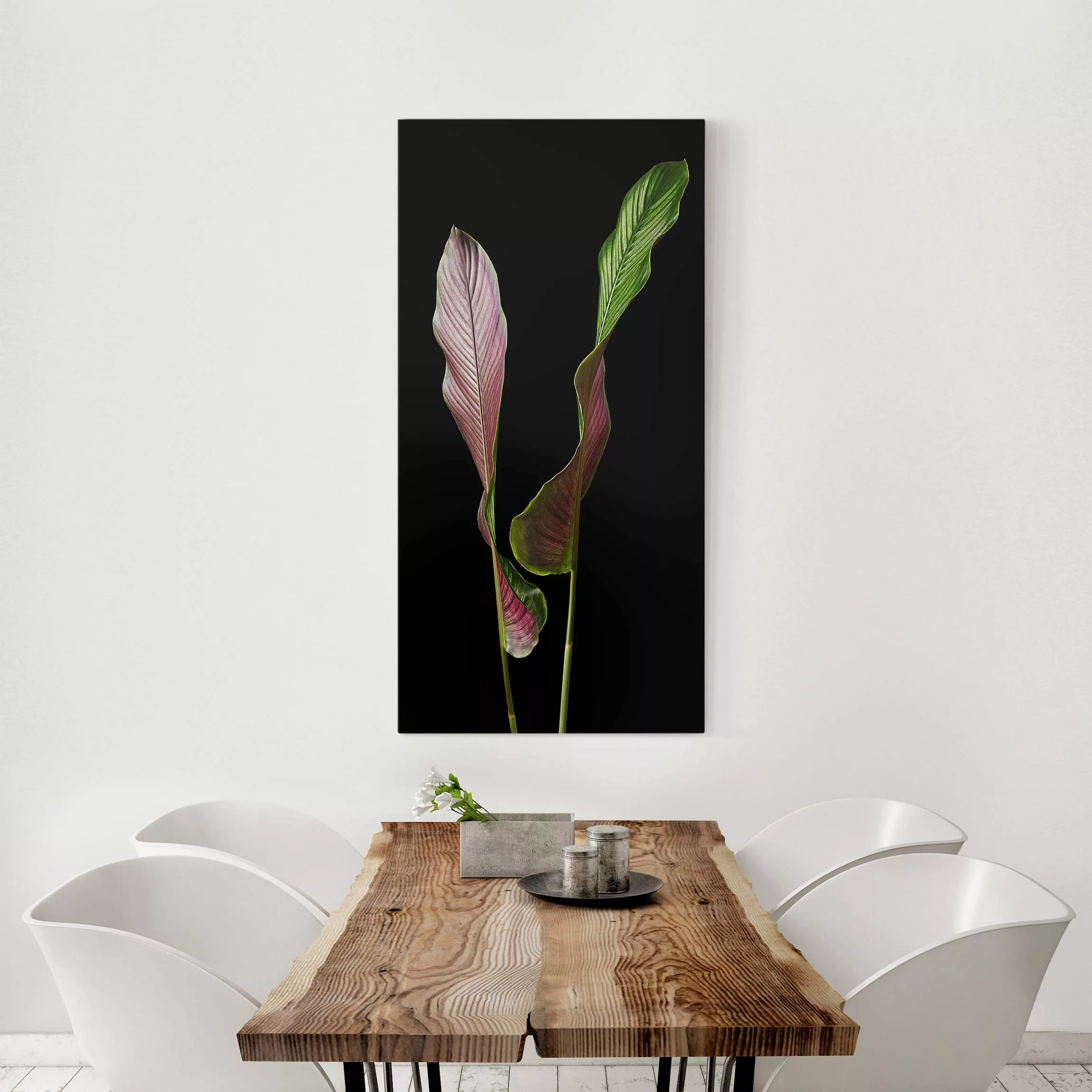 Leinwandbild Botanik - Hochformat Blatt Calathea-ornata auf Schwarz 01 günstig online kaufen