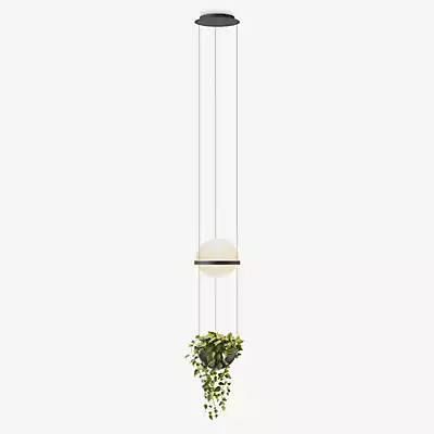 Vibia Palma Pendelleuchte LED mit Pflanzentopf, graphit - 40 cm - Casambi günstig online kaufen