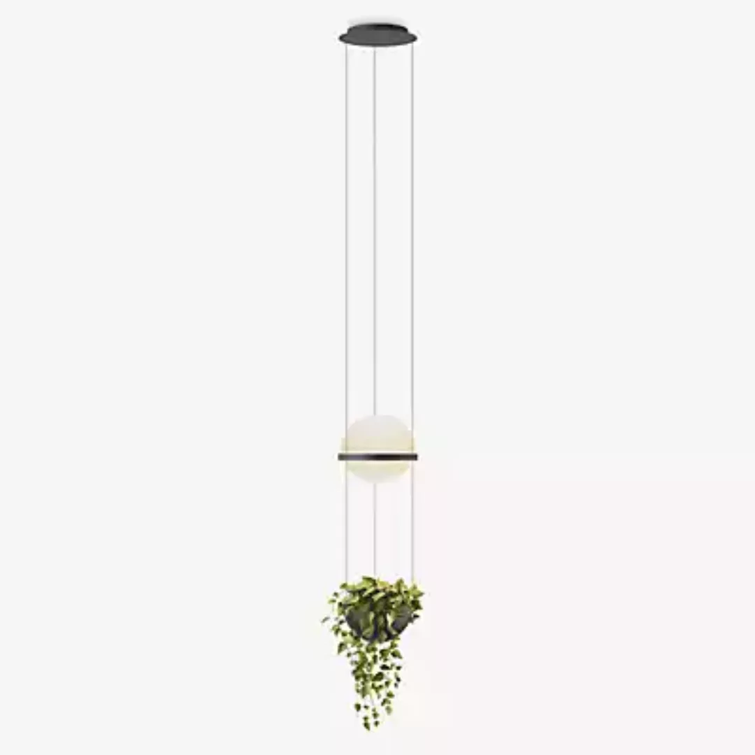 Vibia Palma 3724 Pendelleuchte LED - mit Pflanzentopf, graphit - 40 cm - Ca günstig online kaufen