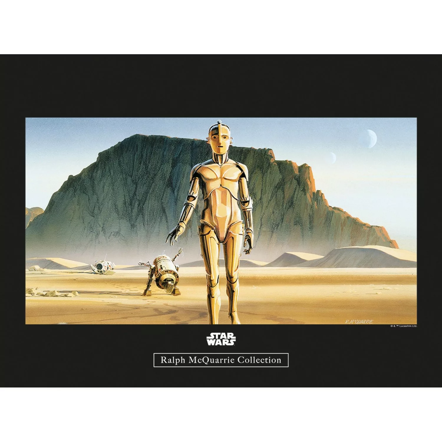 Komar Wandbild Star Wars Droids 40 x 30 cm günstig online kaufen