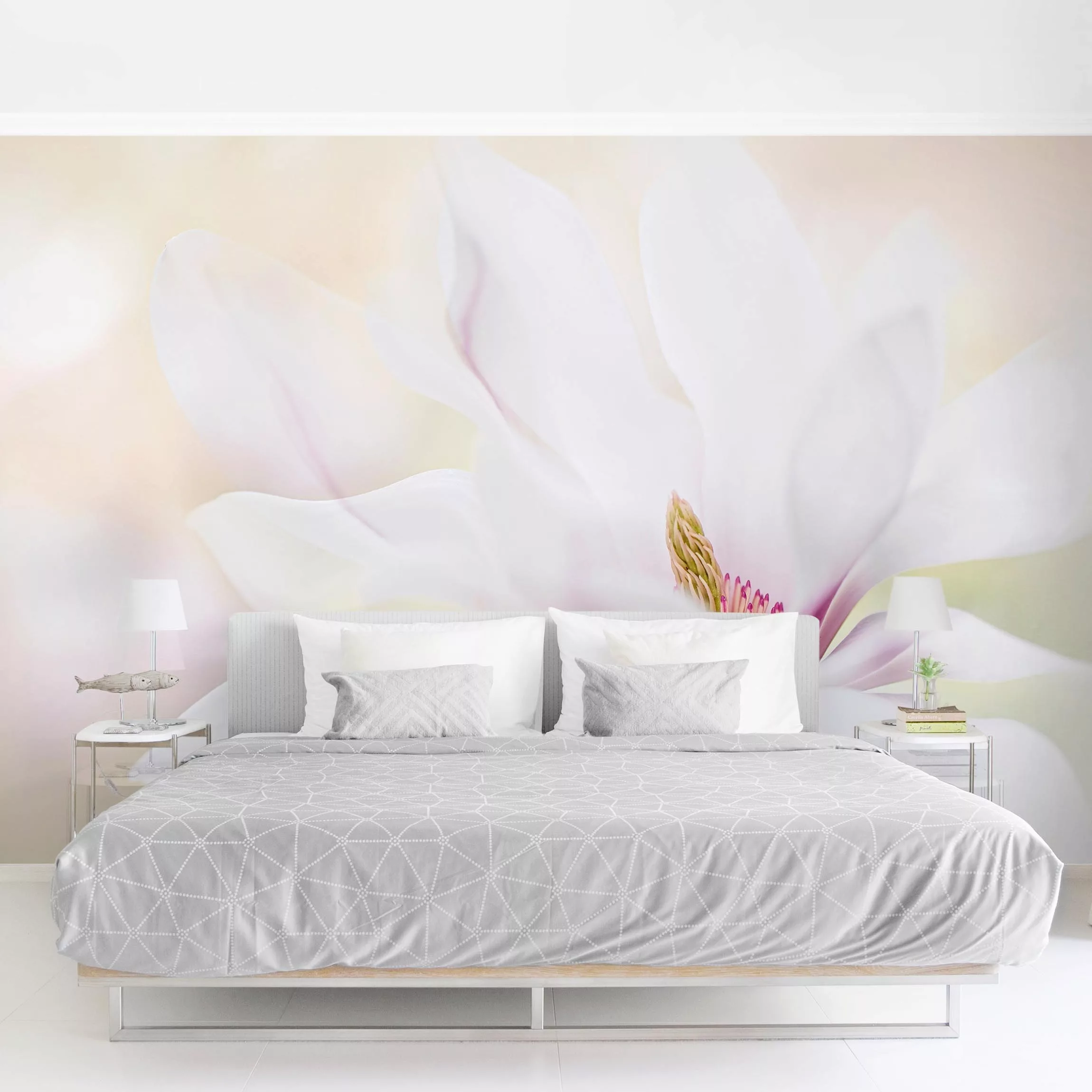 Fototapete Zarte Magnolienblüte günstig online kaufen