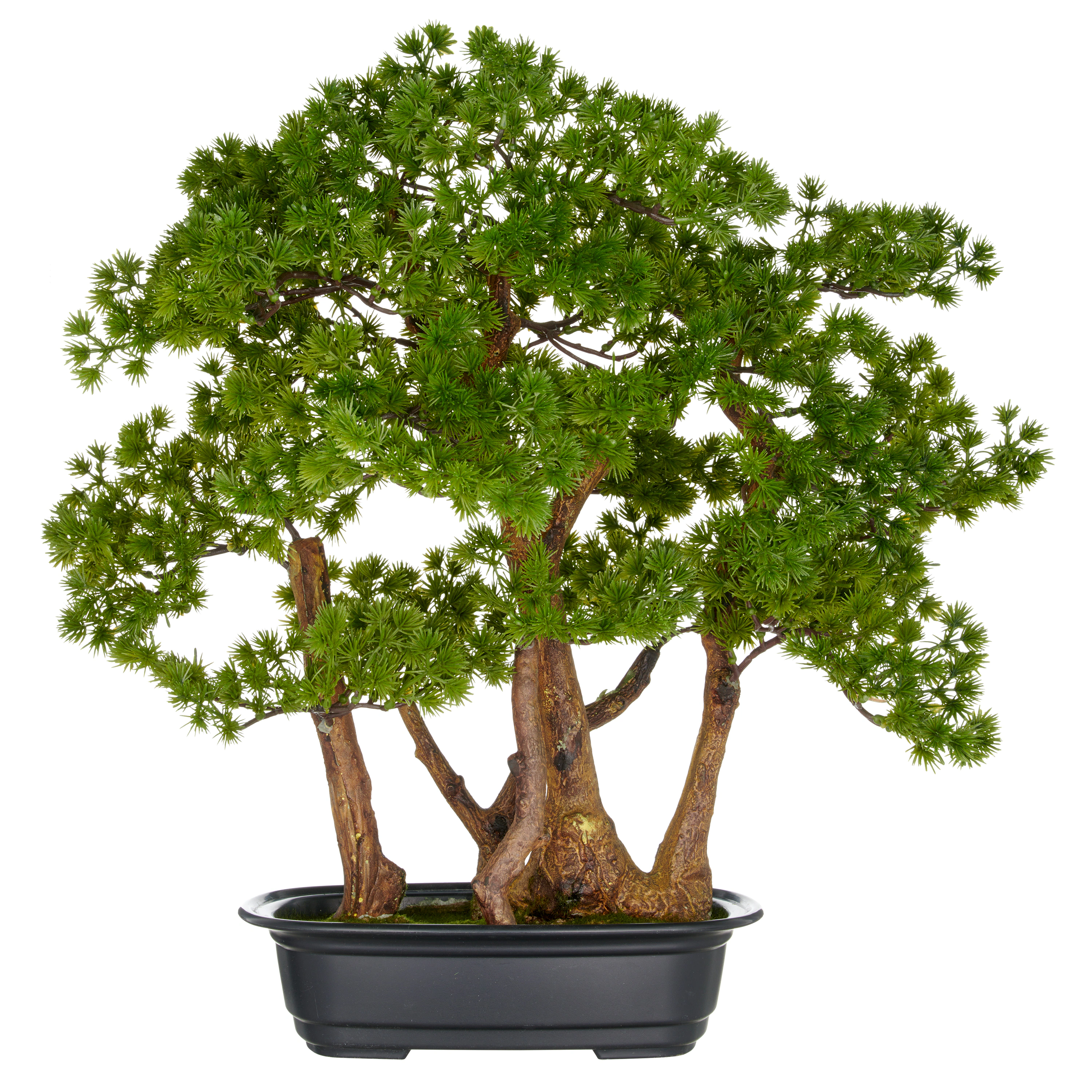 Creativ green Kunstbonsai "Bonsai Larix", mit detailgetreuer Gestaltung günstig online kaufen