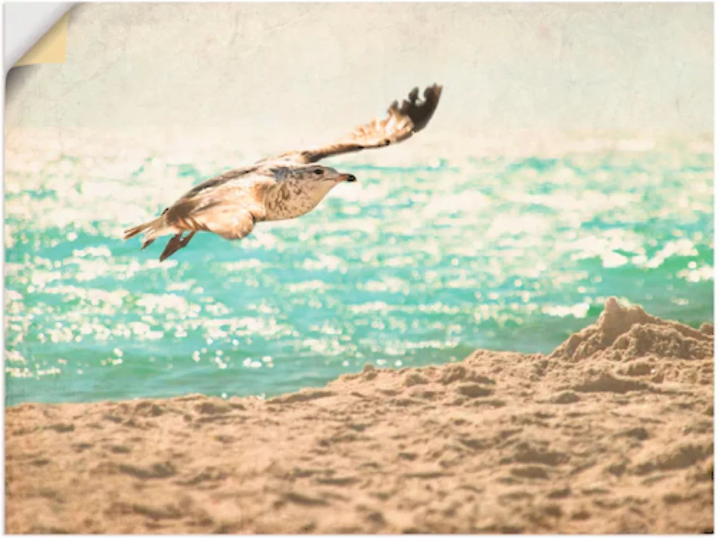 Artland Wandfolie "Der Flug der Möwe", Vögel, (1 St.), selbstklebend günstig online kaufen