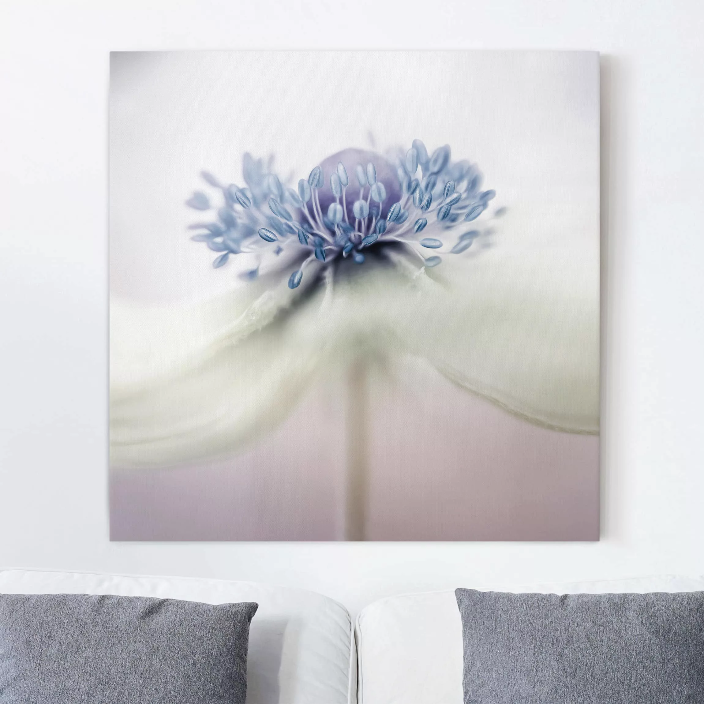 Leinwandbild Blumen - Quadrat Anemone in Violett günstig online kaufen