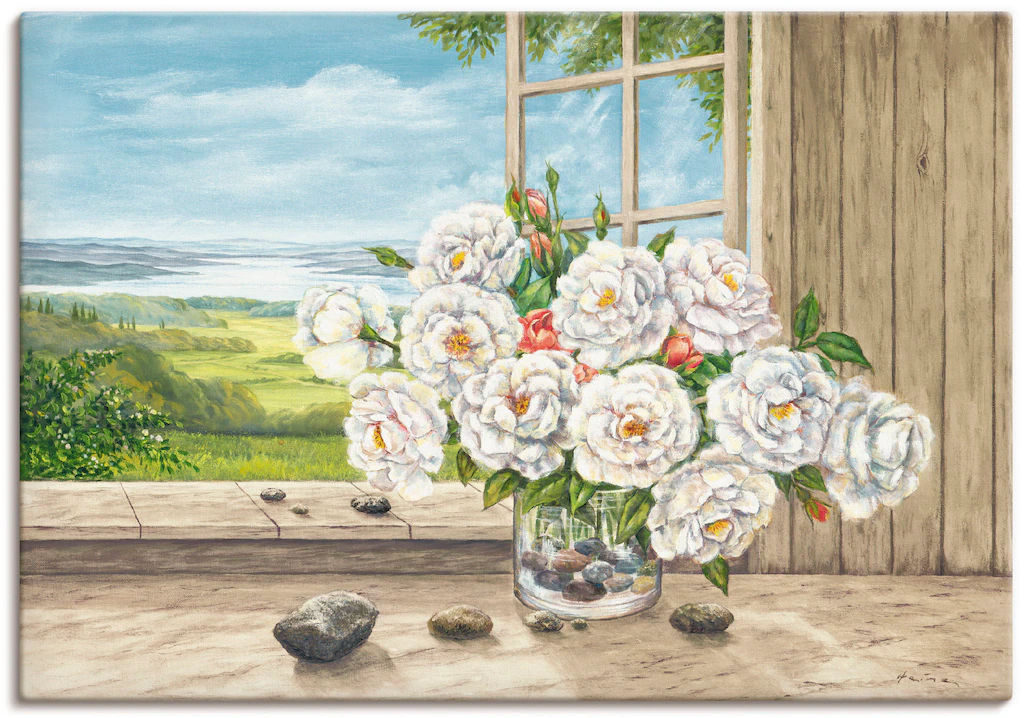 Artland Wandbild "Weiße Rosen am Fenster", Blumen, (1 St.), als Alubild, Le günstig online kaufen