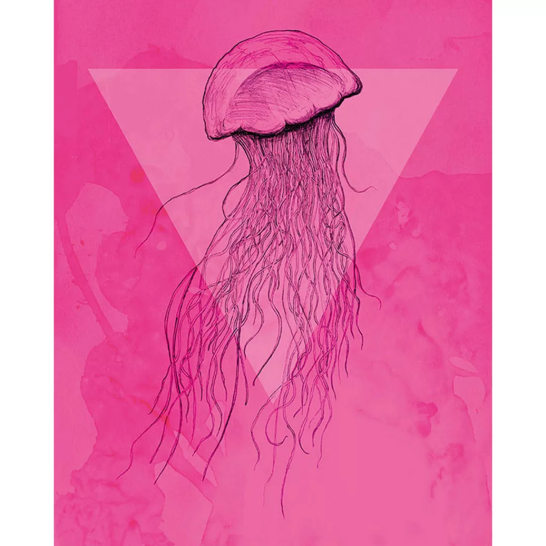 Komar Wandbild Jellyfish Pink Tiere B/L: ca. 40x50 cm günstig online kaufen