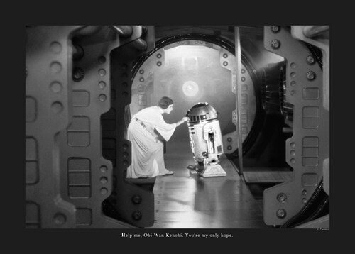 Komar Wandbild Star Wars Quote 70 x 50 cm günstig online kaufen