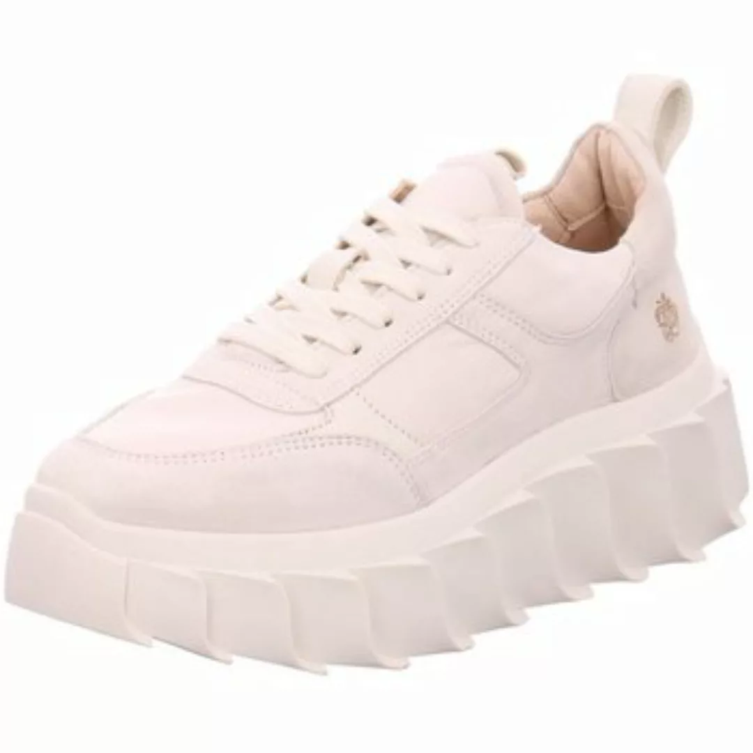 Apple Of Eden  Sneaker SS23-BLAIR 68 IVORY günstig online kaufen