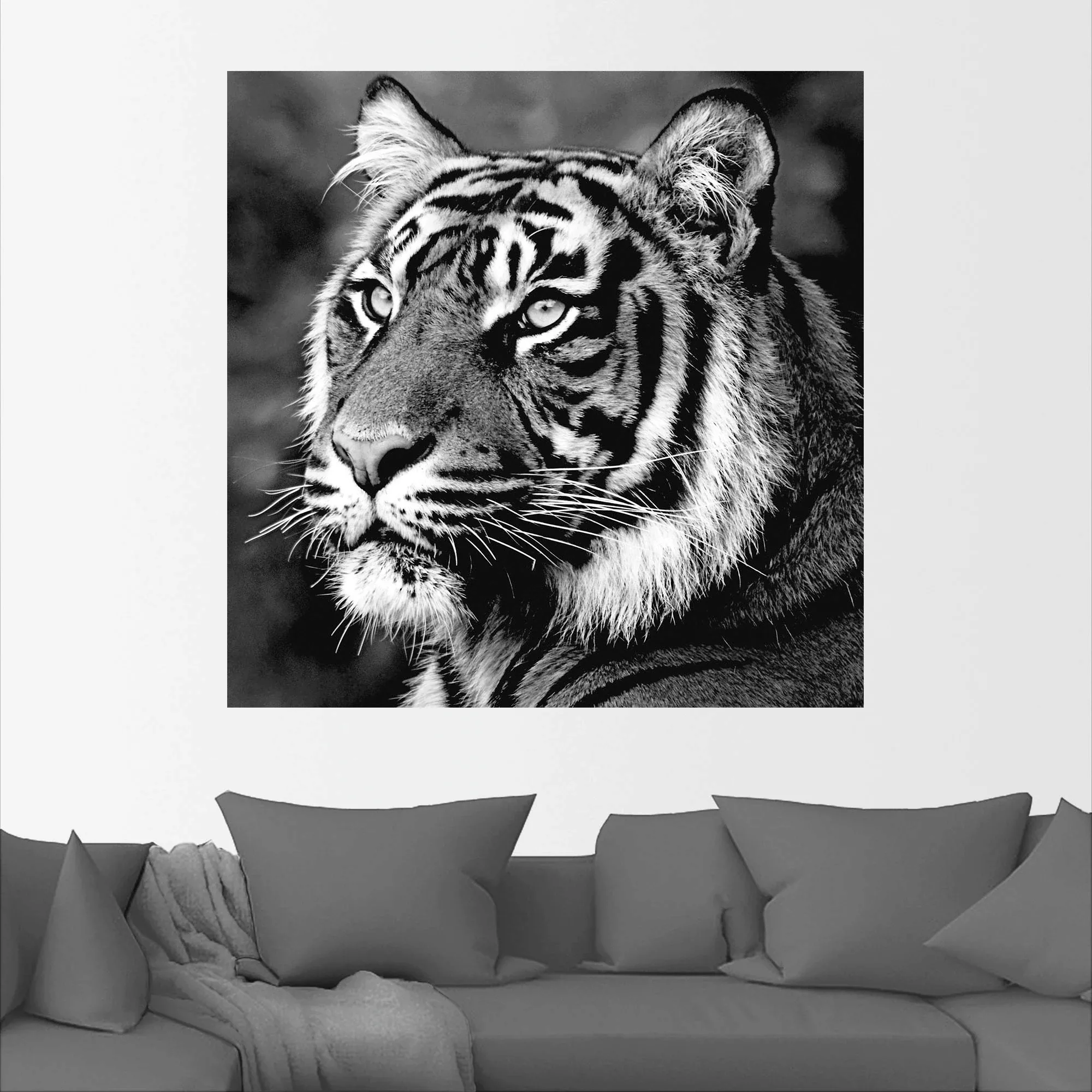Artland Wandbild "Tiger", Wildtiere, (1 St.), als Leinwandbild, Poster, Wan günstig online kaufen