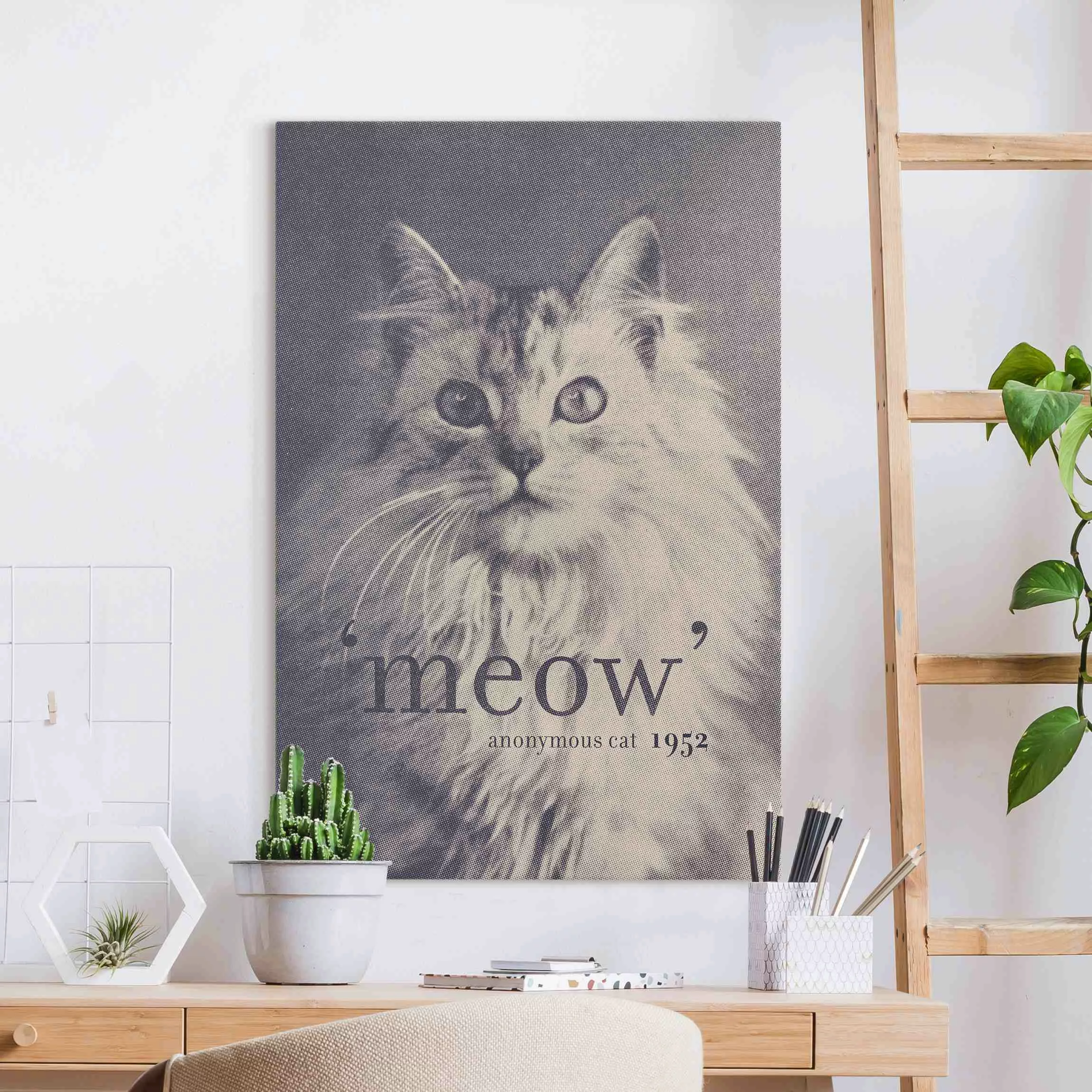 Leinwandbild Anonymous Cat günstig online kaufen