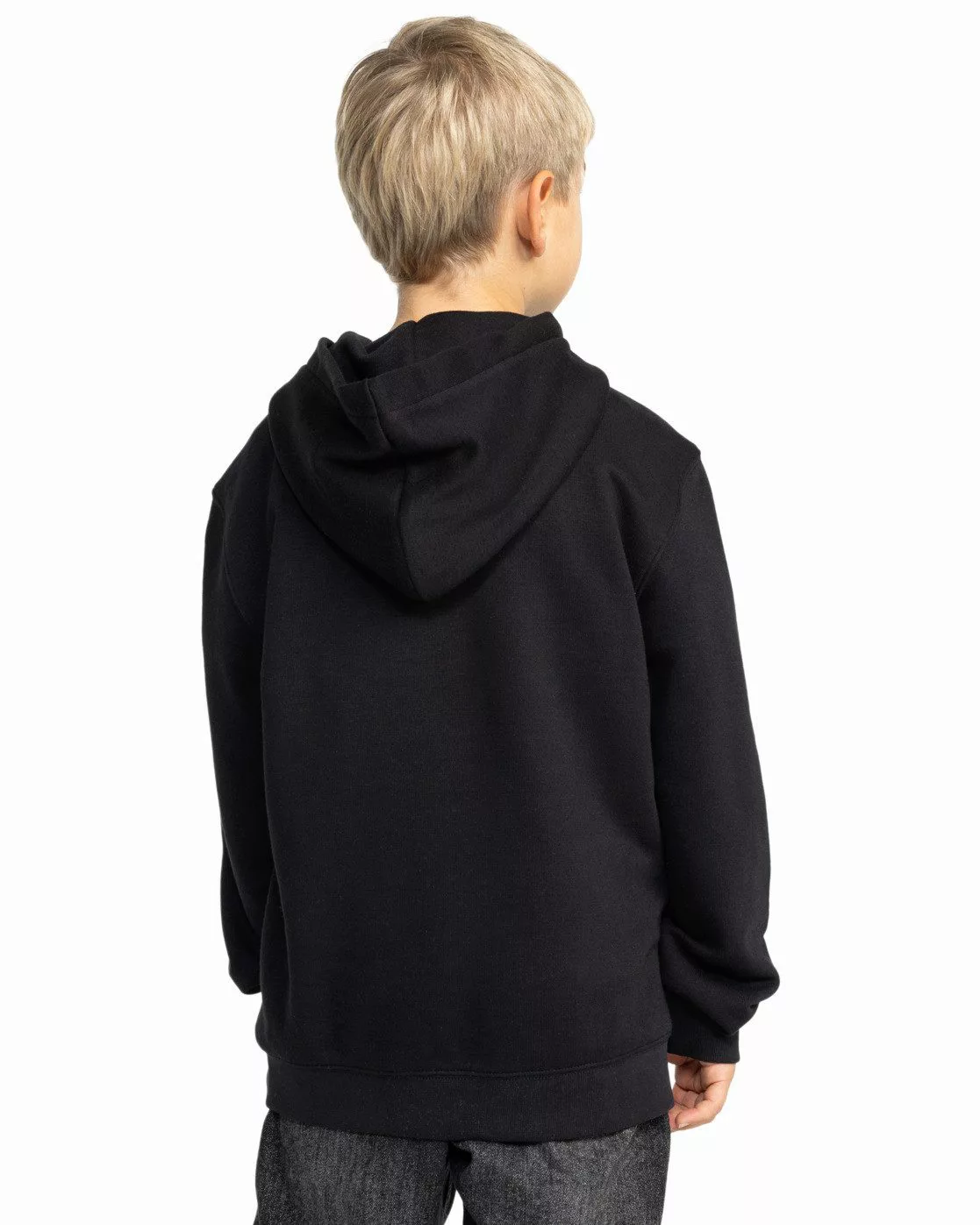 DC Shoes Hoodie Pallet Ph günstig online kaufen