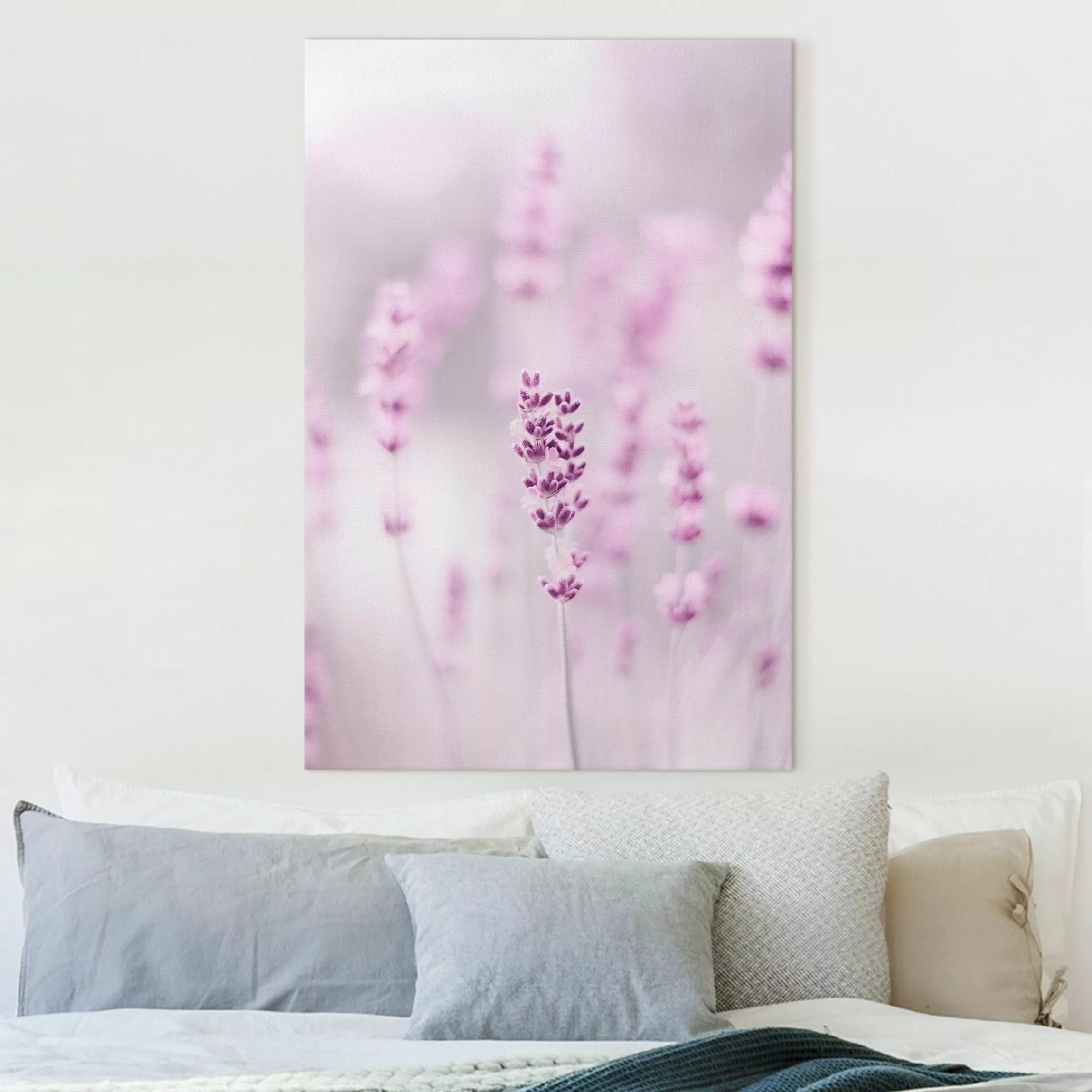 Leinwandbild Zartvioletter Lavendel günstig online kaufen