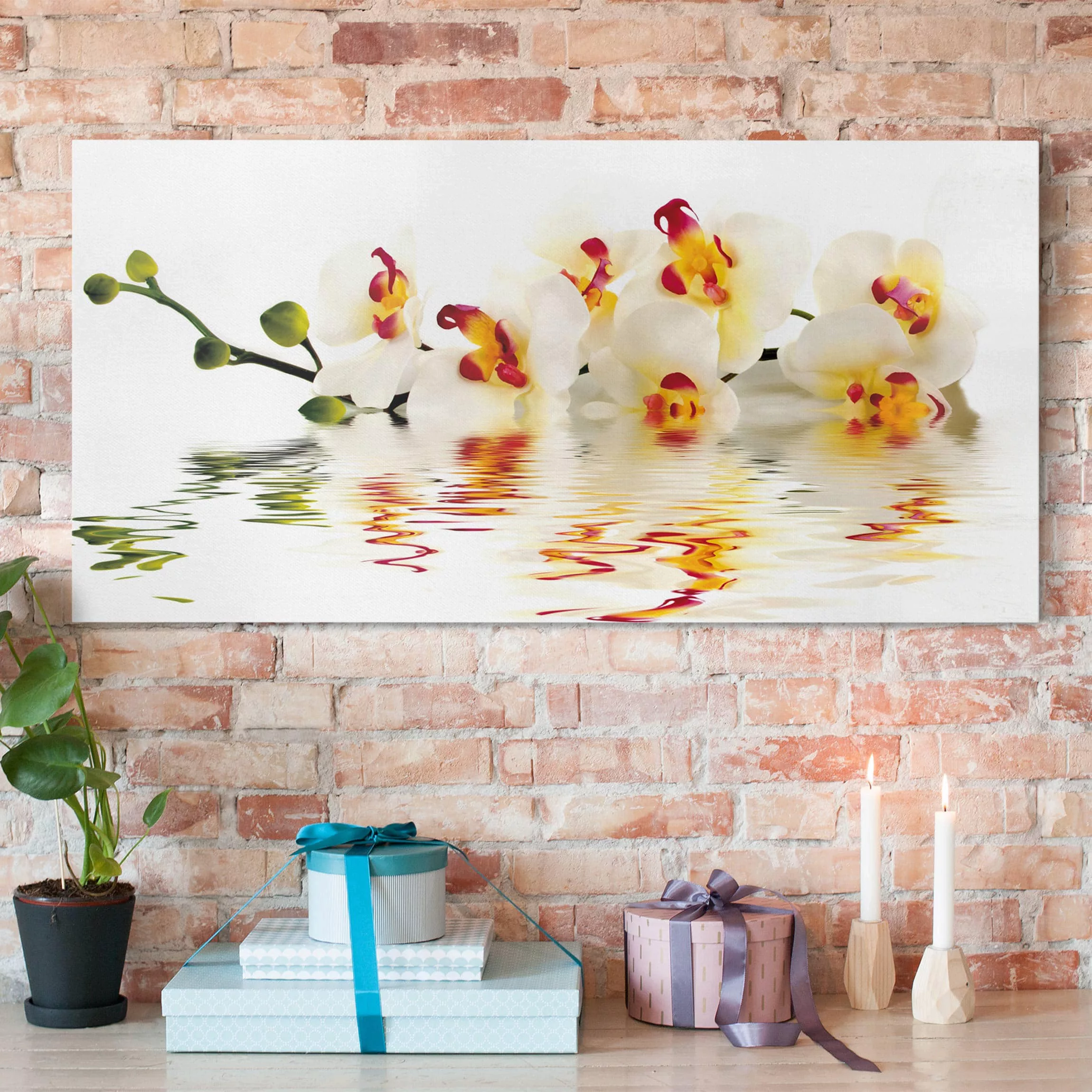 Leinwandbild Blumen - Querformat Vivid Orchid Waters günstig online kaufen
