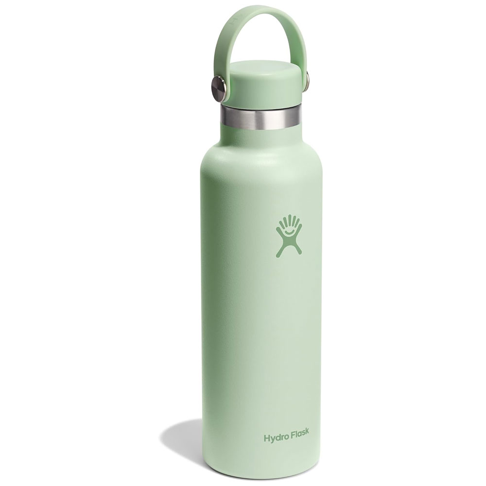 Hydro Flask 21 OZ Standard Mouth Flex Cap Aloe günstig online kaufen