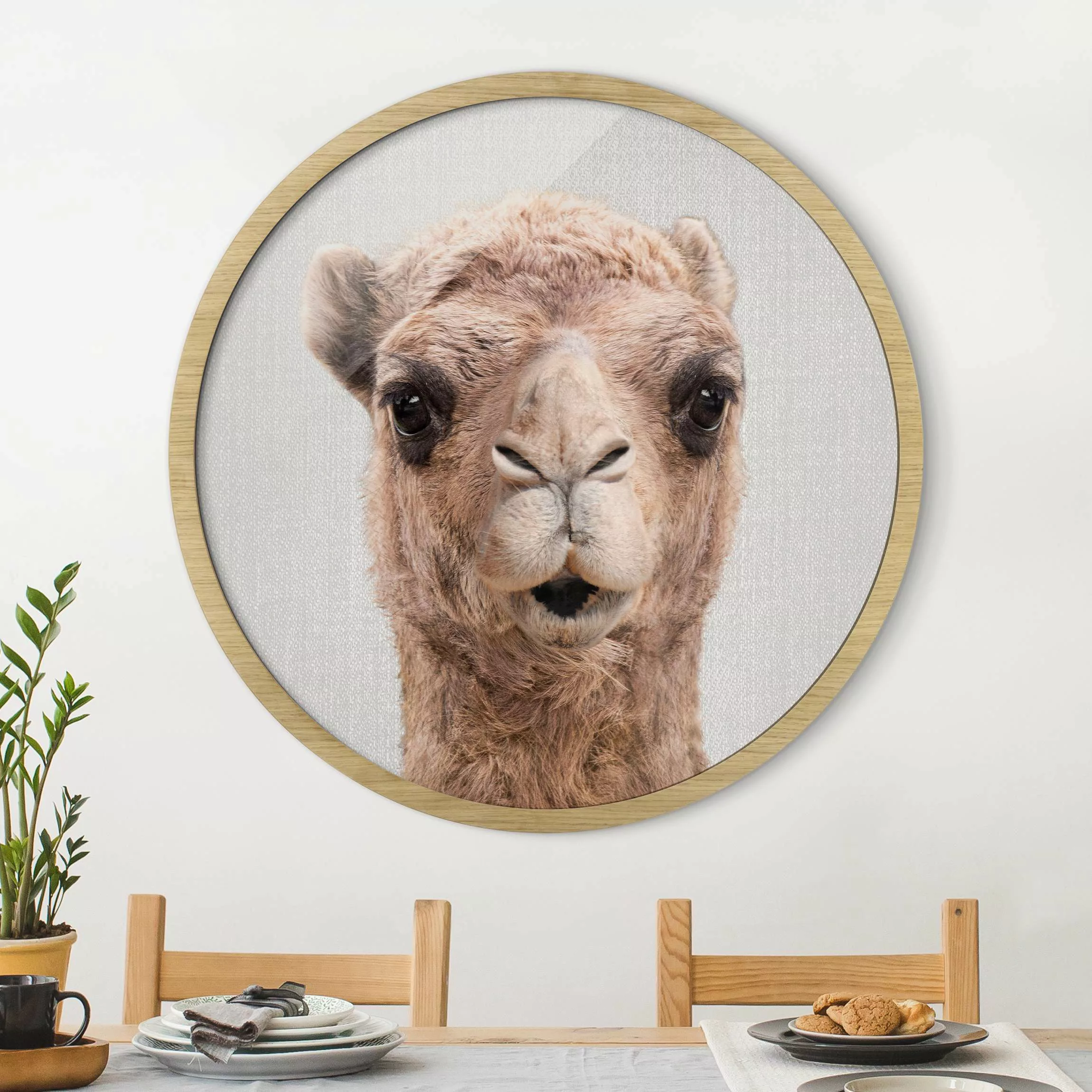 Rundes Gerahmtes Bild Kamel Konrad günstig online kaufen