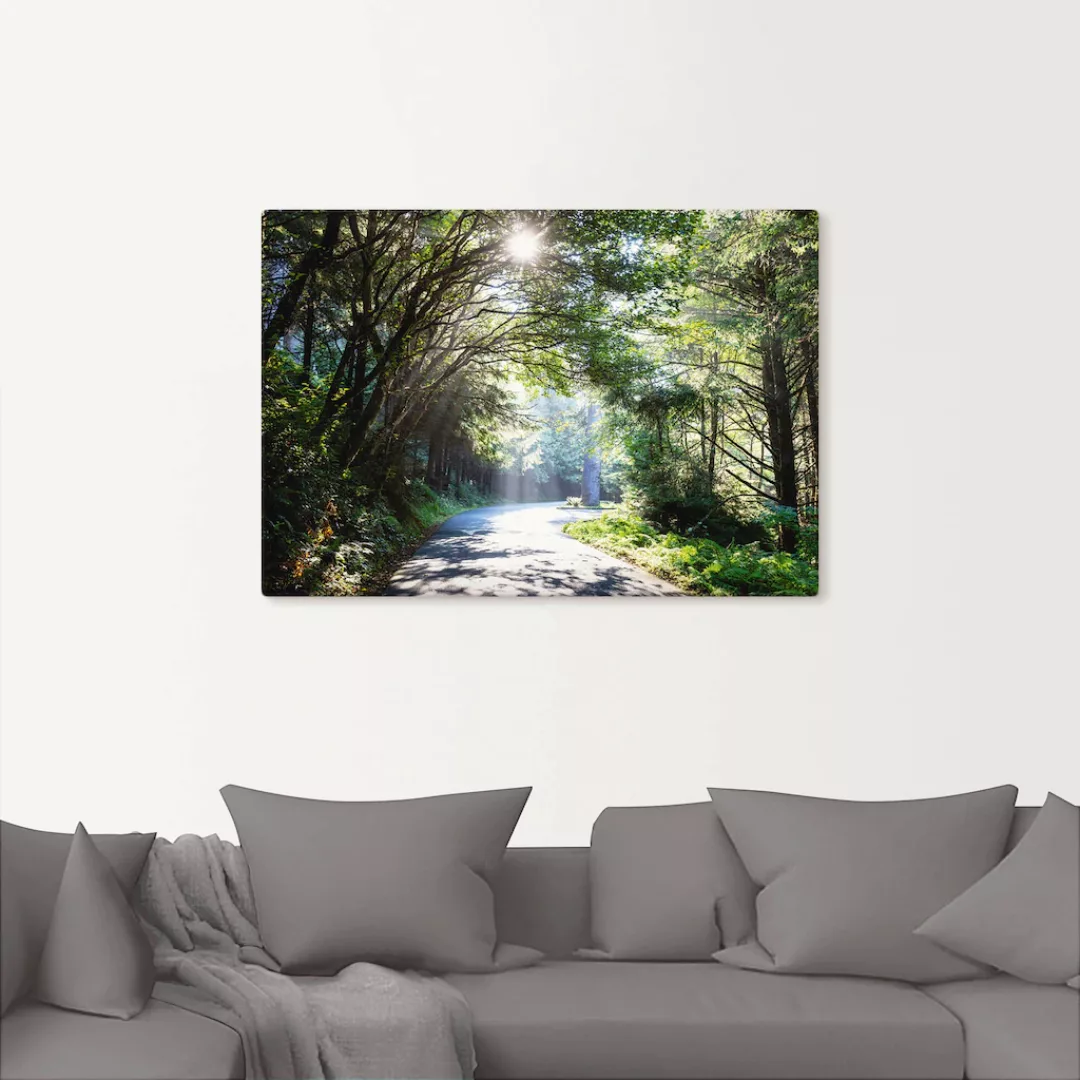Artland Wandbild "Sonniger Wald", Baumbilder, (1 St.), als Alubild, Outdoor günstig online kaufen
