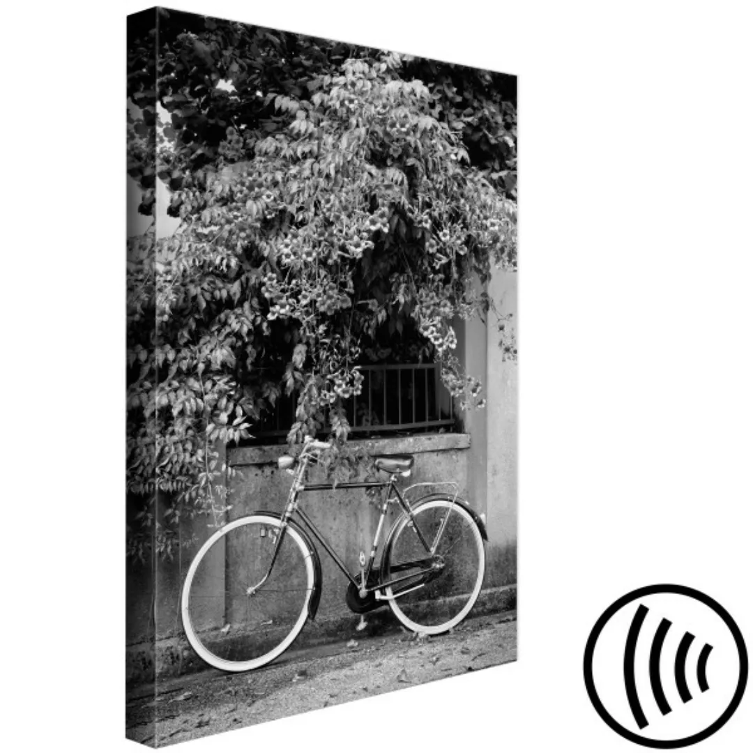 Leinwandbild Bicycle and Flowers (1 Part) Vertical XXL günstig online kaufen