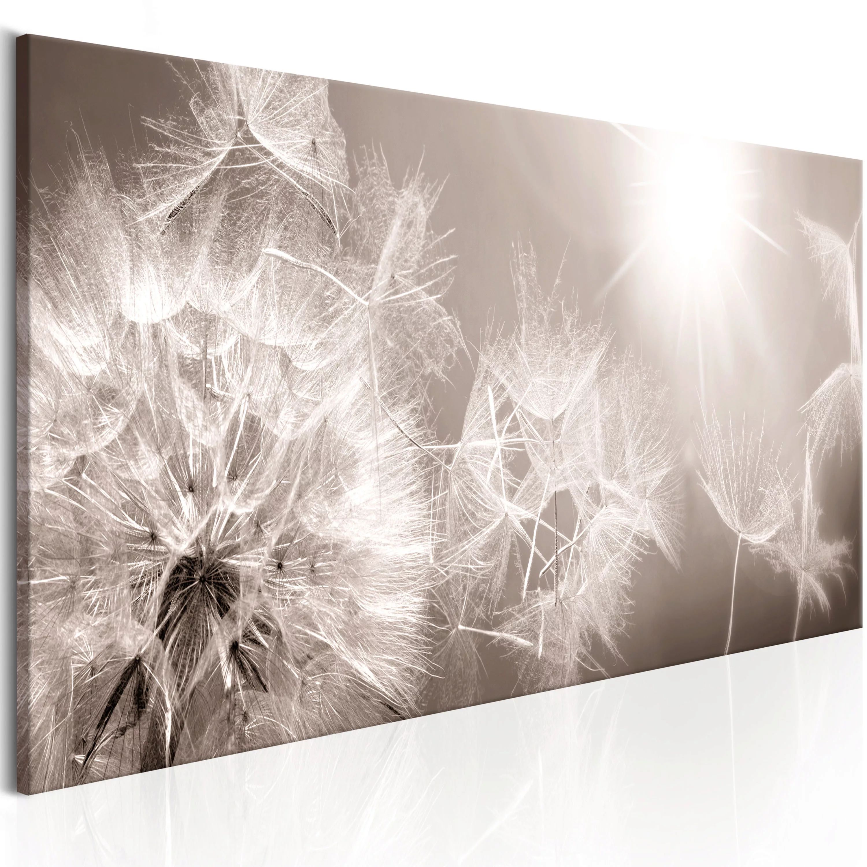 Wandbild - Summer Dandelions günstig online kaufen