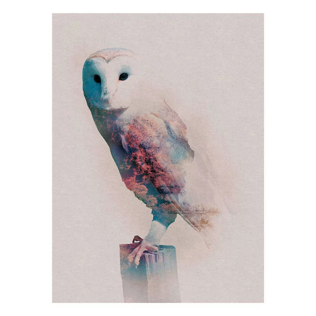 Komar Poster Animals Forest Owl Eule B/L: ca. 30x40 cm günstig online kaufen