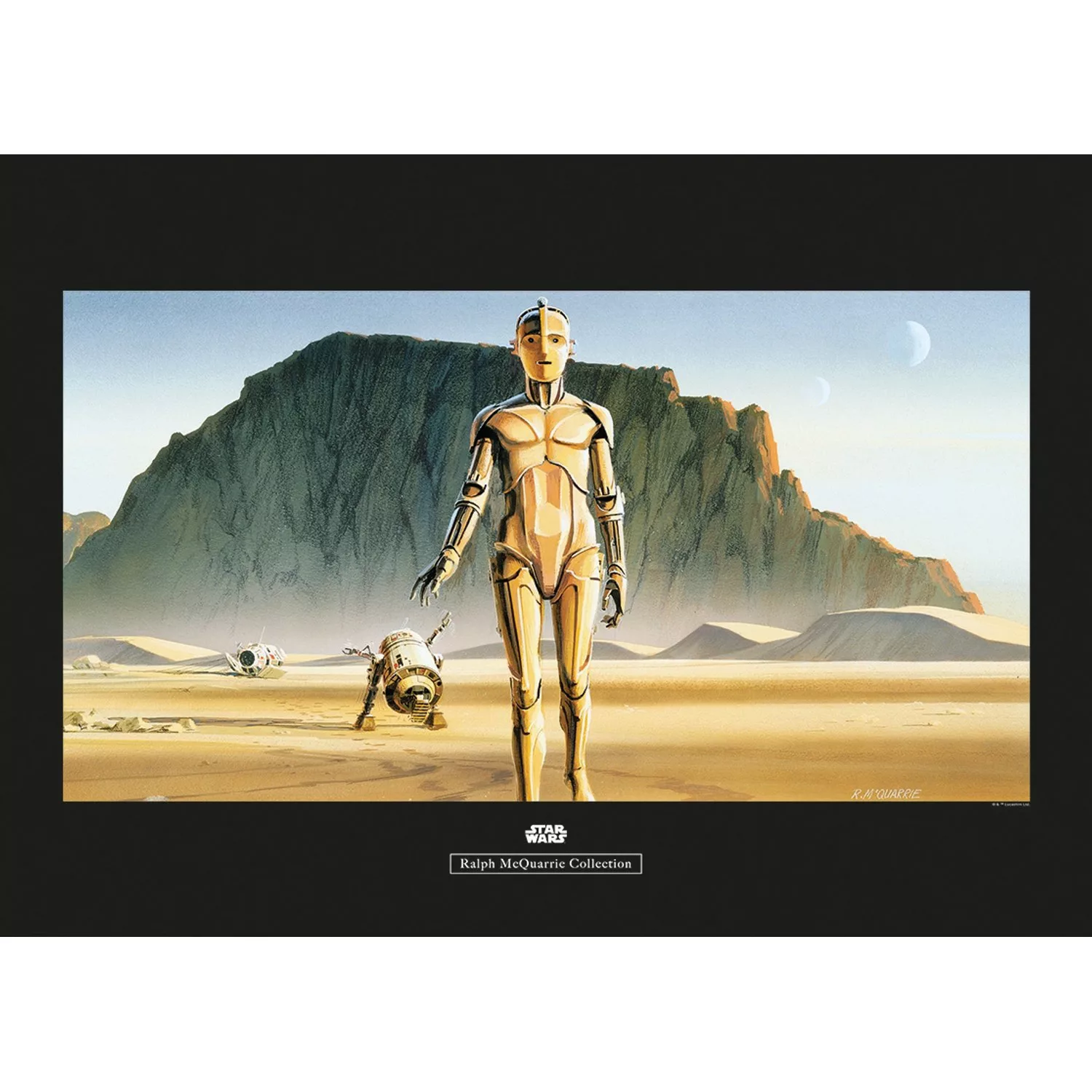 Komar Wandbild Star Wars Droids 70 x 50 cm günstig online kaufen