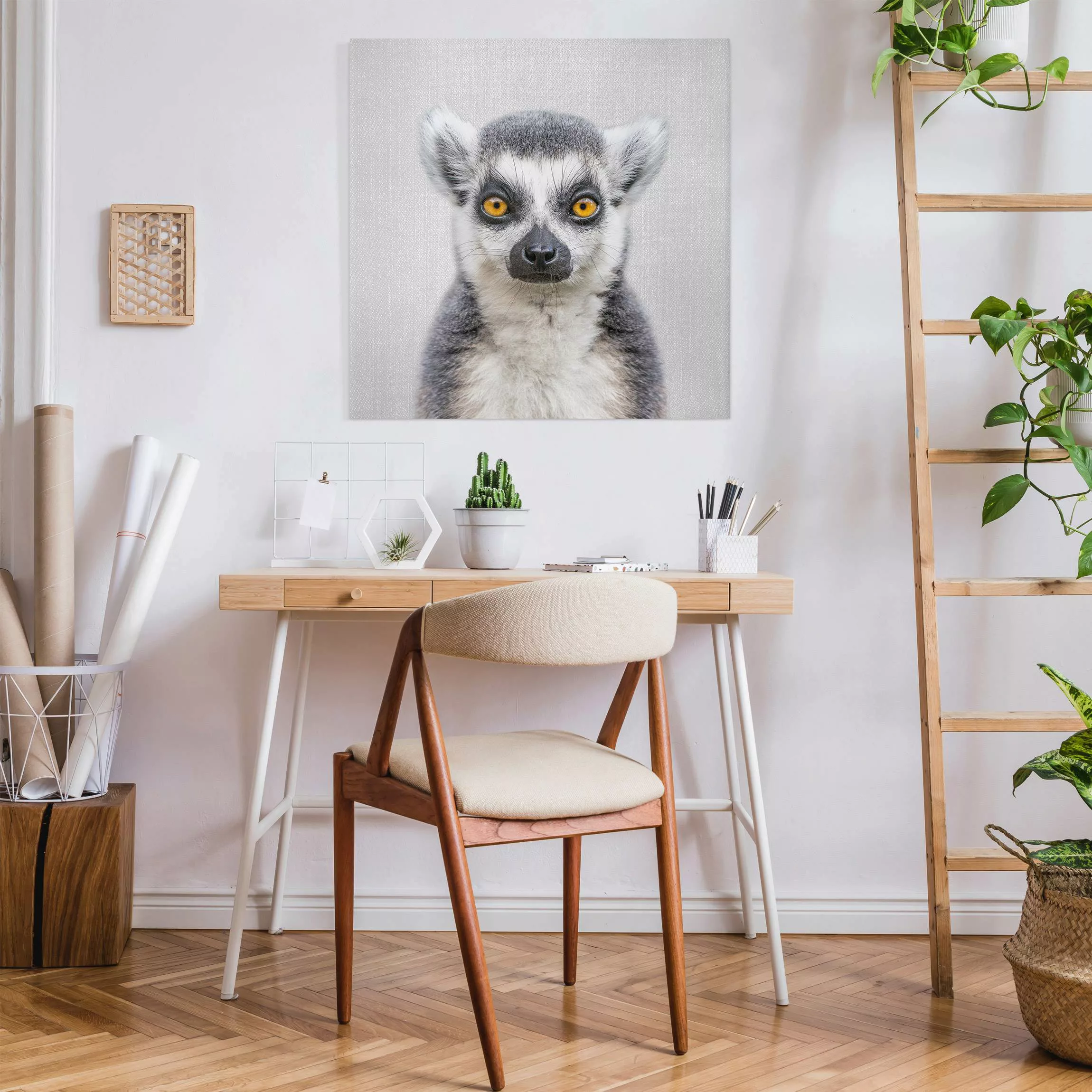 Leinwandbild Lemur Ludwig günstig online kaufen