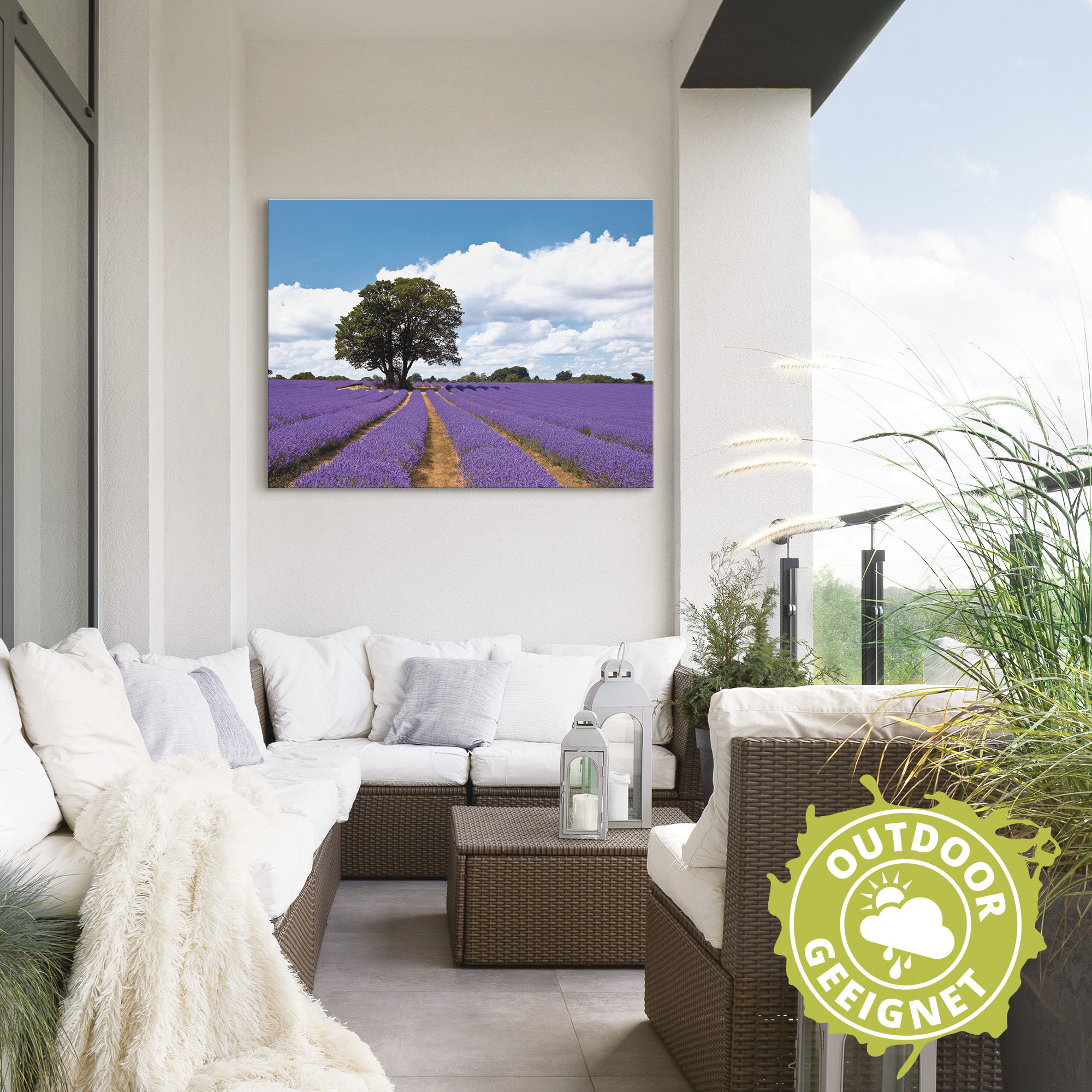 Artland Wandbild »Schönes Lavendelfeld im Sommer«, Felder, (1 St.), als Alu günstig online kaufen