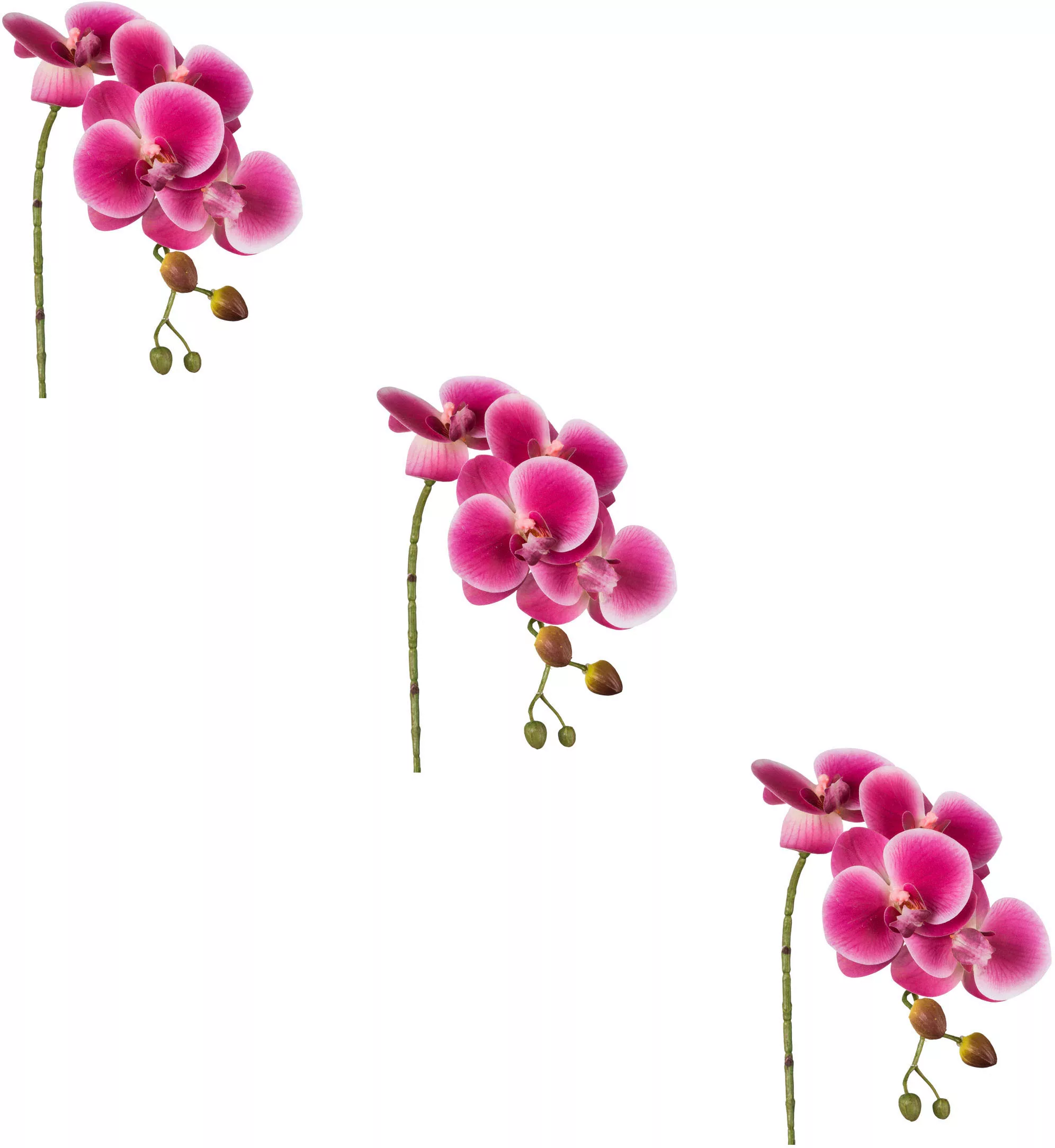 Creativ green Kunstblume "Phalaenopsis 3D-print", mit Real-Touch-Blüten günstig online kaufen