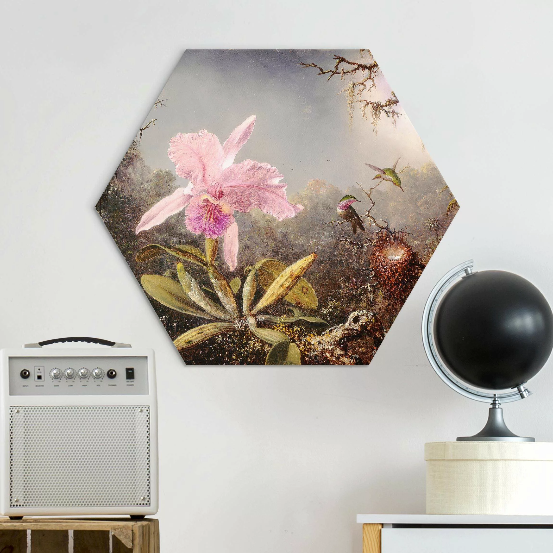 Hexagon-Alu-Dibond Bild Martin Johnson Heade - Orchidee und drei Kolibris günstig online kaufen