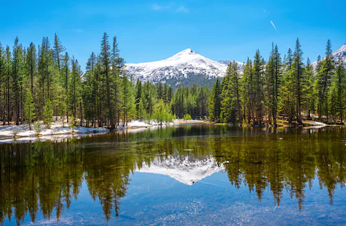 Papermoon Fototapete »YOSEMITE-SEE GEBIRGE BERGE ALPEN SONNE WALD BÄUME« günstig online kaufen