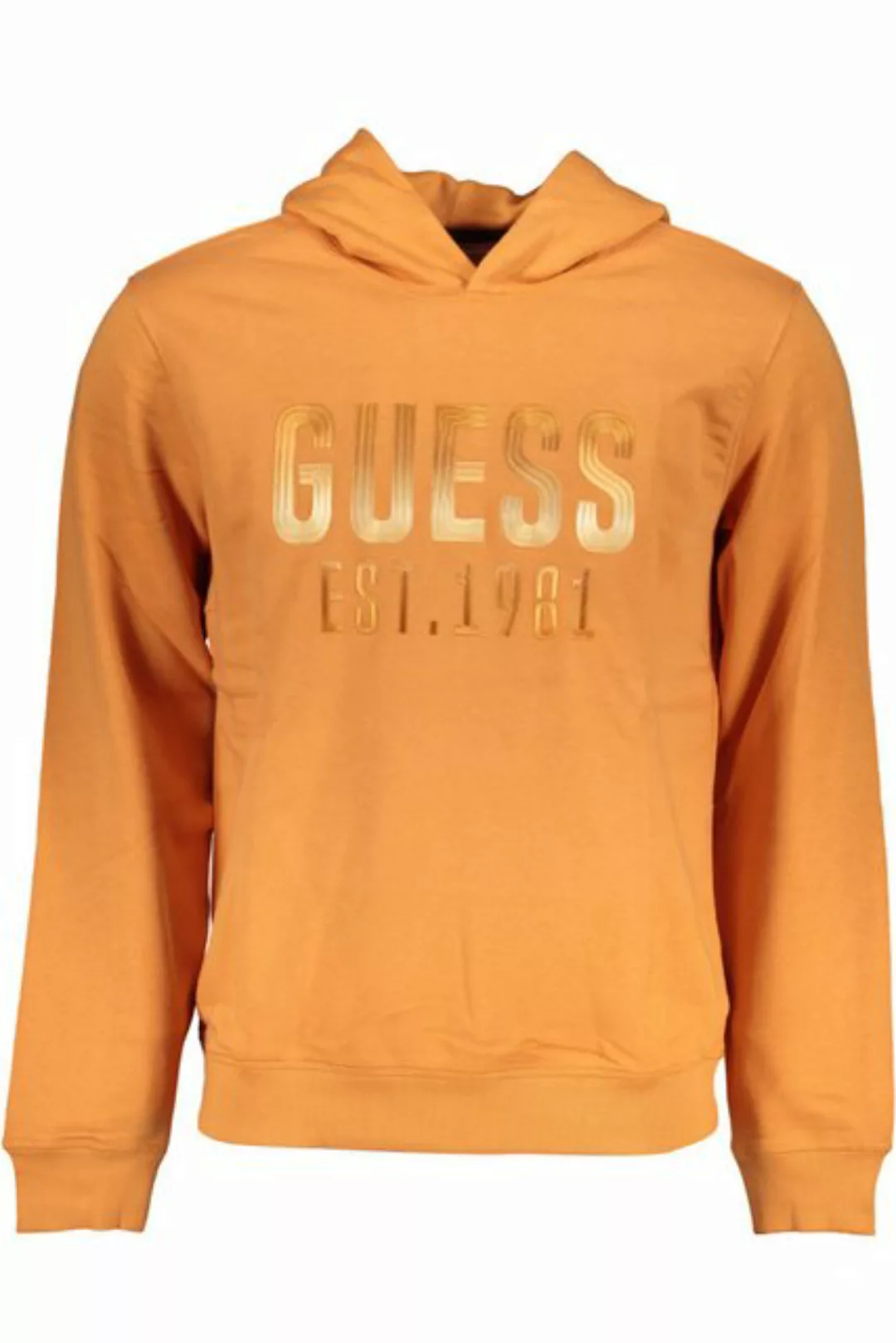 Guess Sweatshirt günstig online kaufen