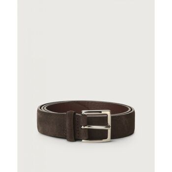 Orciani  Gürtel U08211 - AMALFI IN PELLE SCAMOSCIATA-TESTA DI MORO günstig online kaufen