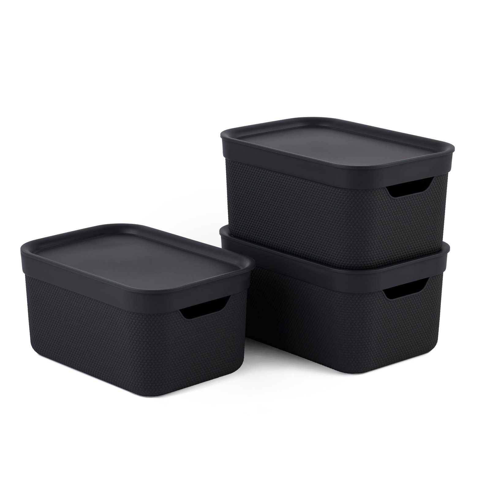 ROTHO Aufbewahrungsbox Jive Dekobox 3er-Set Aufbewahrungskorb günstig online kaufen